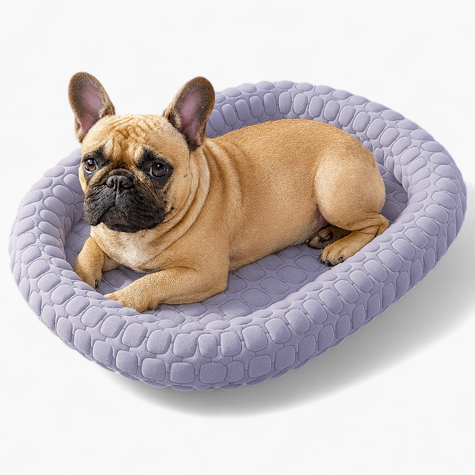 French Bulldog Summer Cozy Sofa Bed for Outdoor Adventures-fadou
