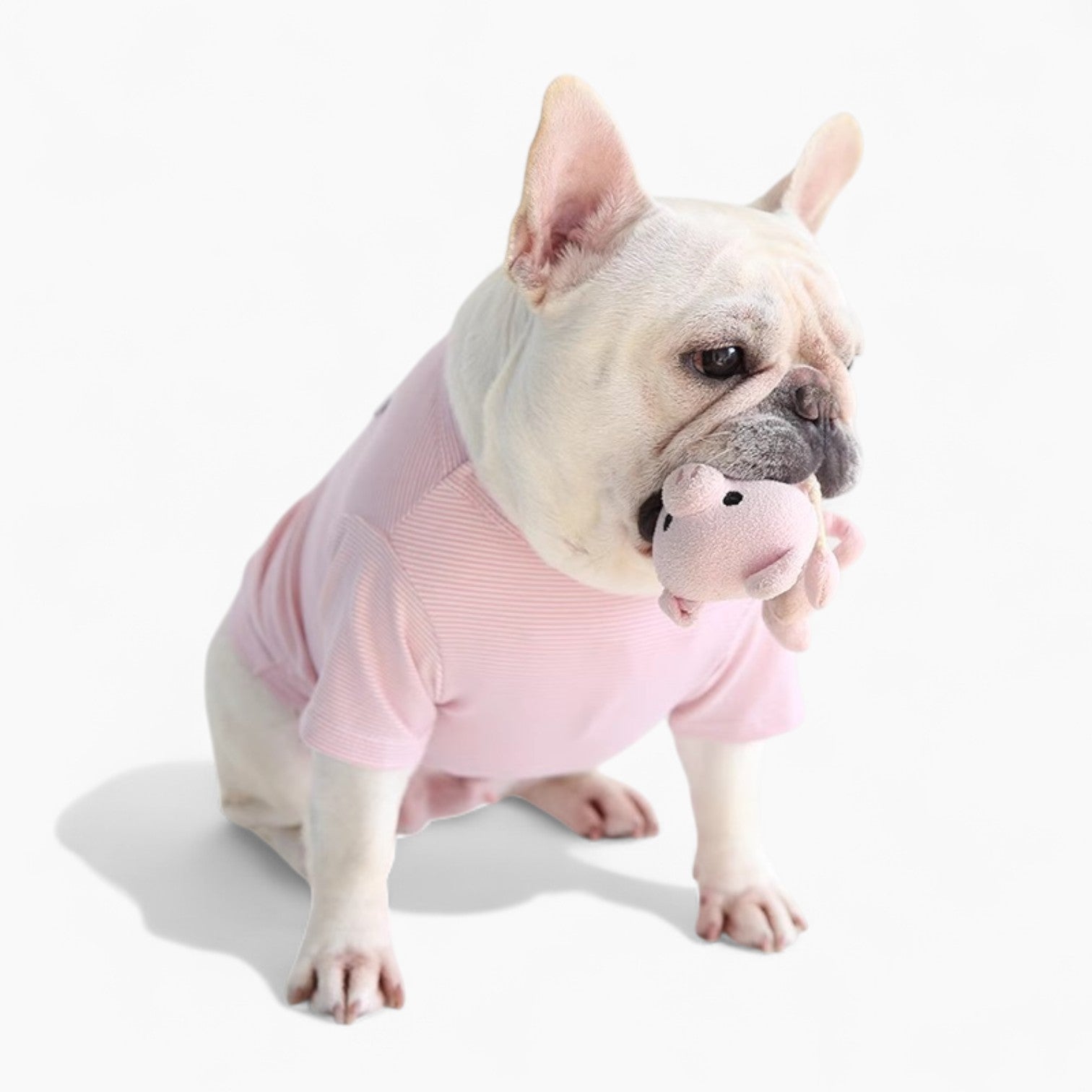 French Bulldog Breathable Graphic Tee for Everyday Wear-fadou