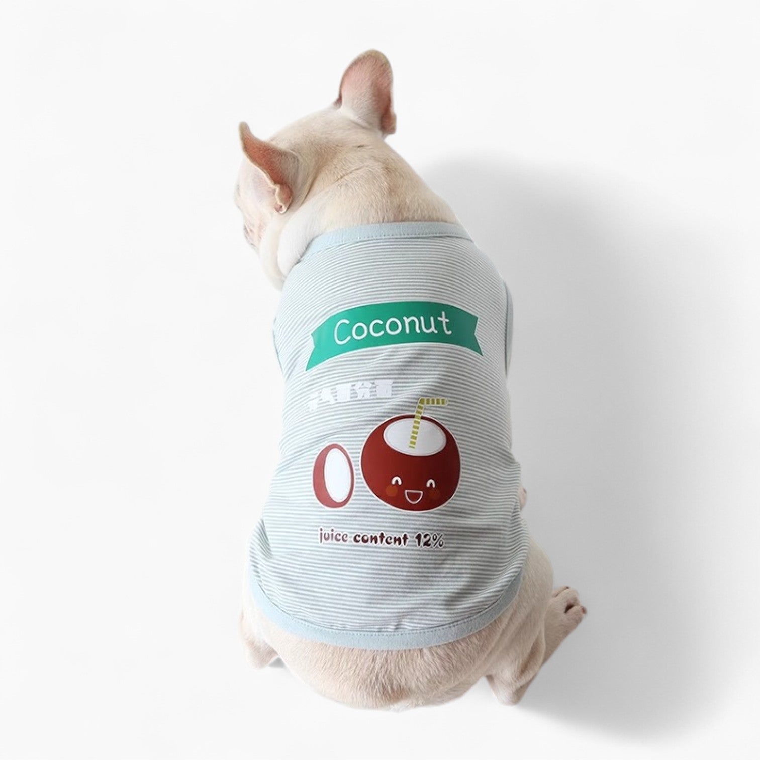 French Bulldog Breathable Graphic Tee for Everyday Wear-fadou