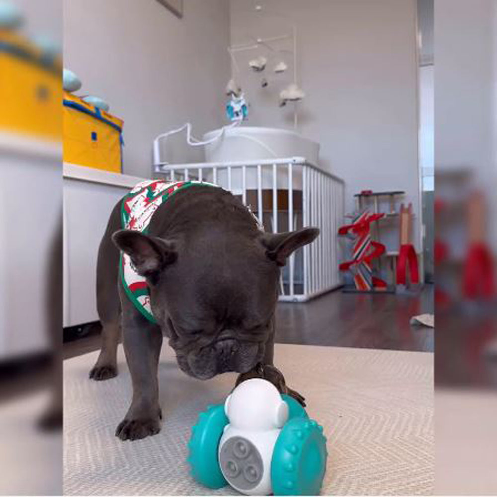 French Bulldog Interactive Travel Tumbler for Everyday Wear-fadou