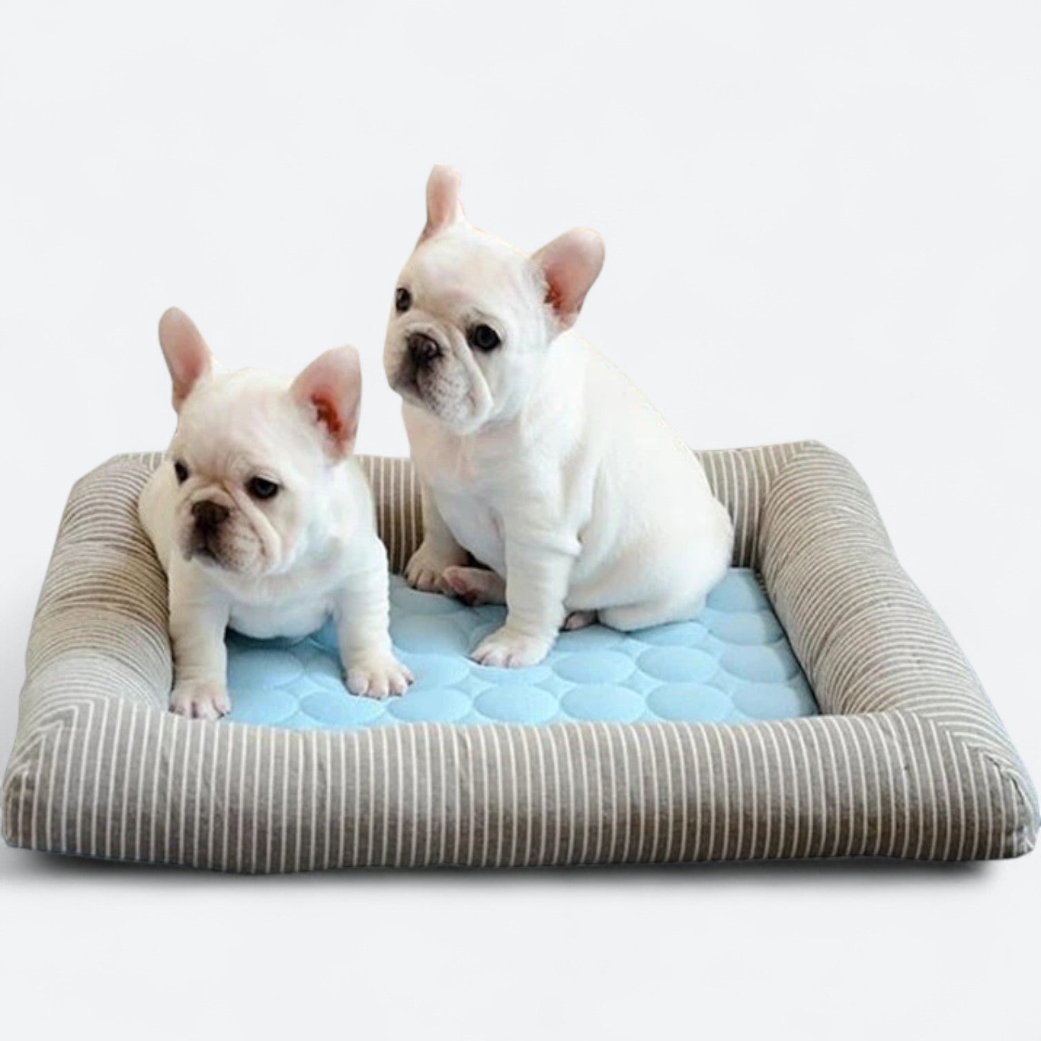 French Bulldog Breathable Dog Lounger for Brachycephalic Dogs-fadou