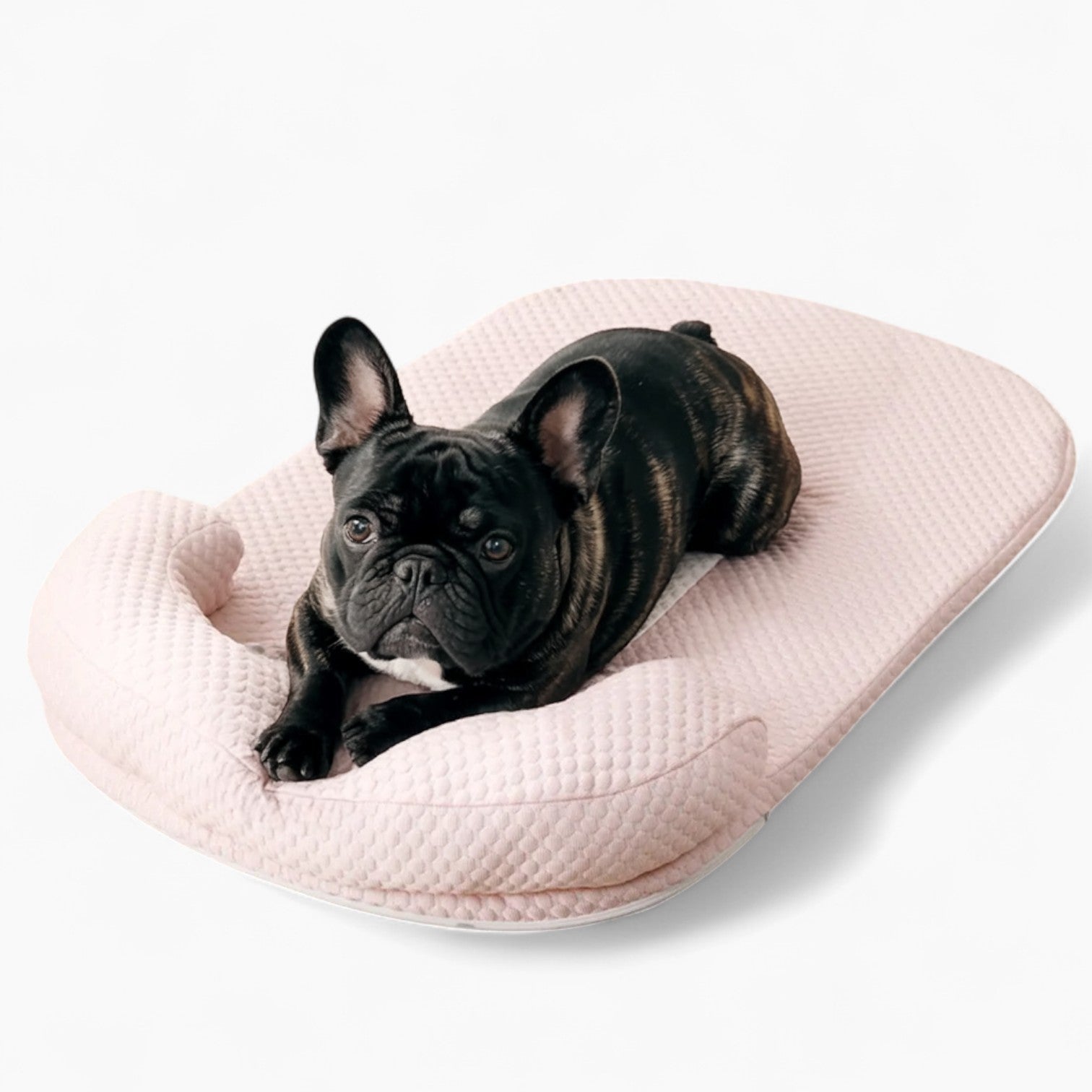 French Bulldog Breathable Pet Bed for Outdoor Adventures-fadou