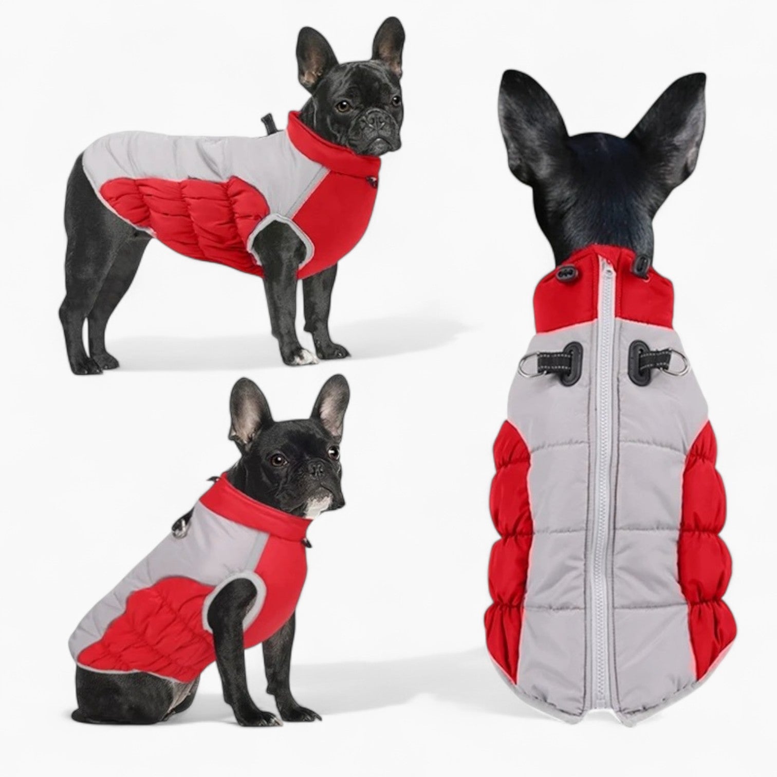French Bulldog Reflective Dog Coat for Brachycephalic Dogs-fadou