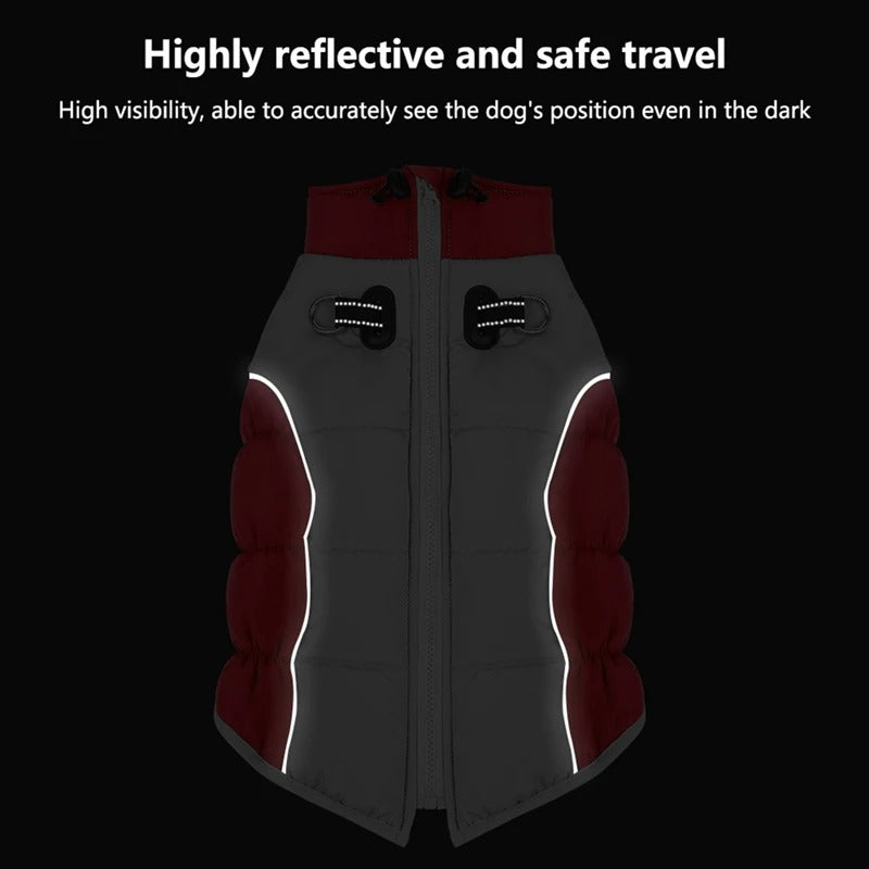French Bulldog Reflective Dog Coat for Brachycephalic Dogs-fadou