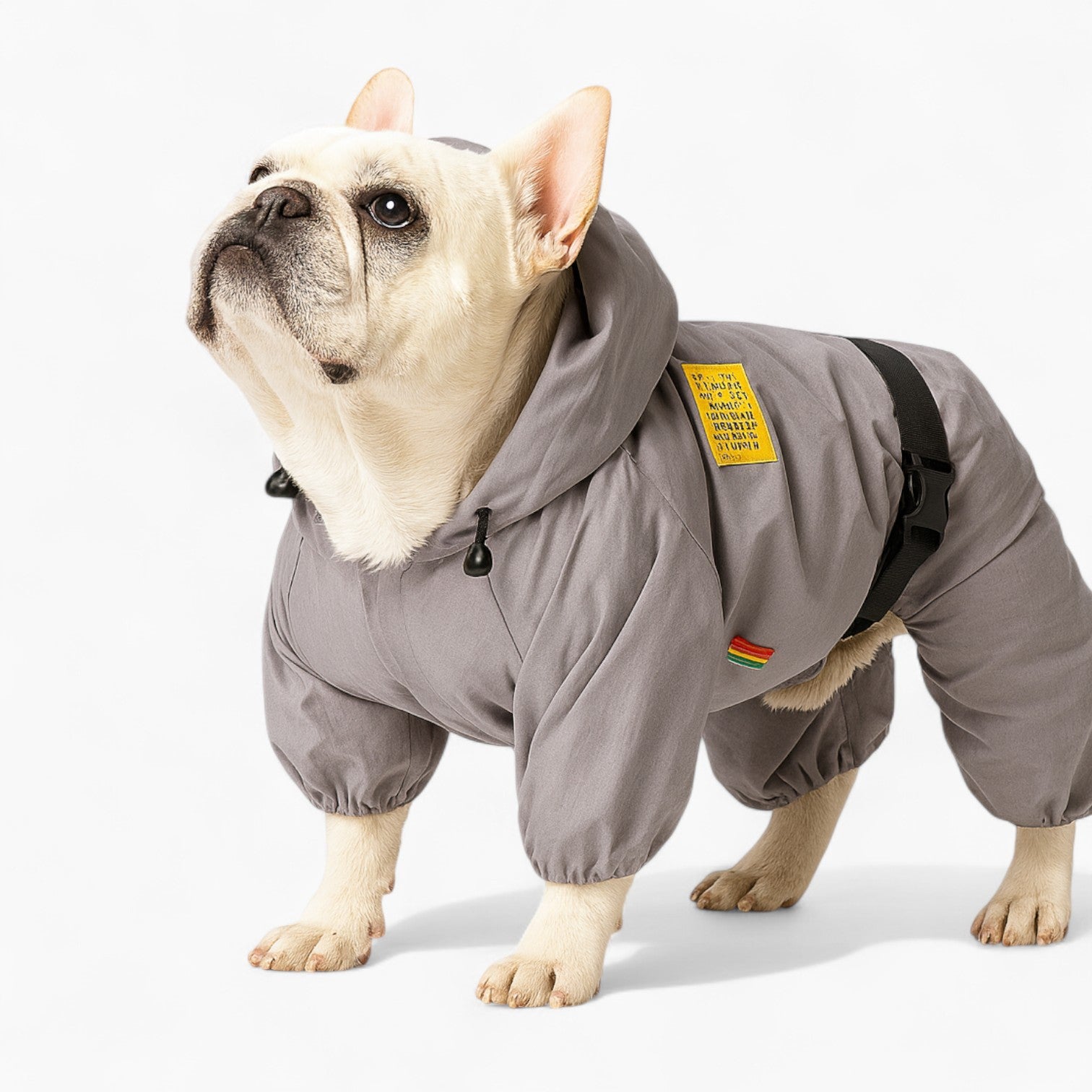 French Bulldog Soft Waterproof Coat for Training Sessions-fadou