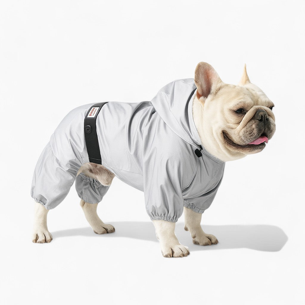 French Bulldog Soft Waterproof Coat for Training Sessions-fadou
