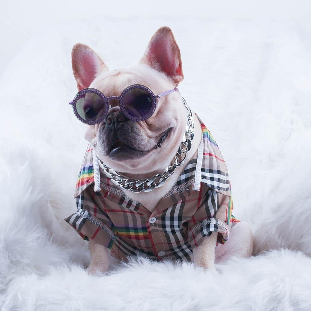 French Bulldog Stylish Dog Collar for Training Sessions-fadou