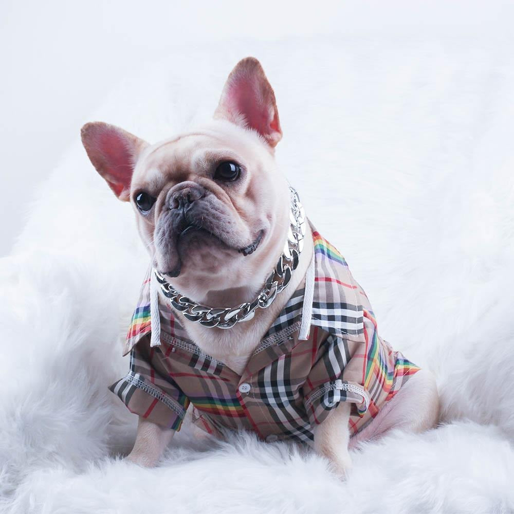 French Bulldog Stylish Dog Collar for Training Sessions-fadou