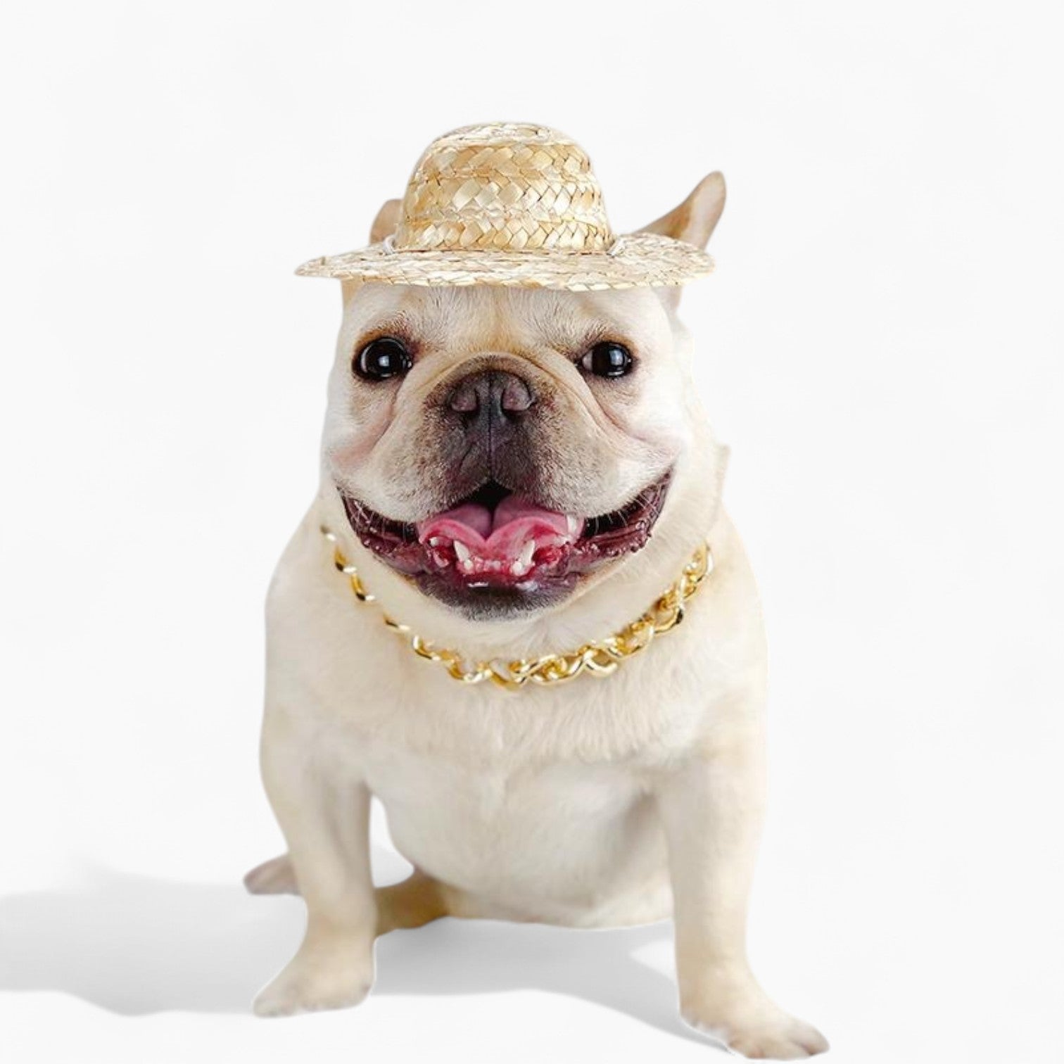 French Bulldog Stylish Dog Collar for Training Sessions-fadou