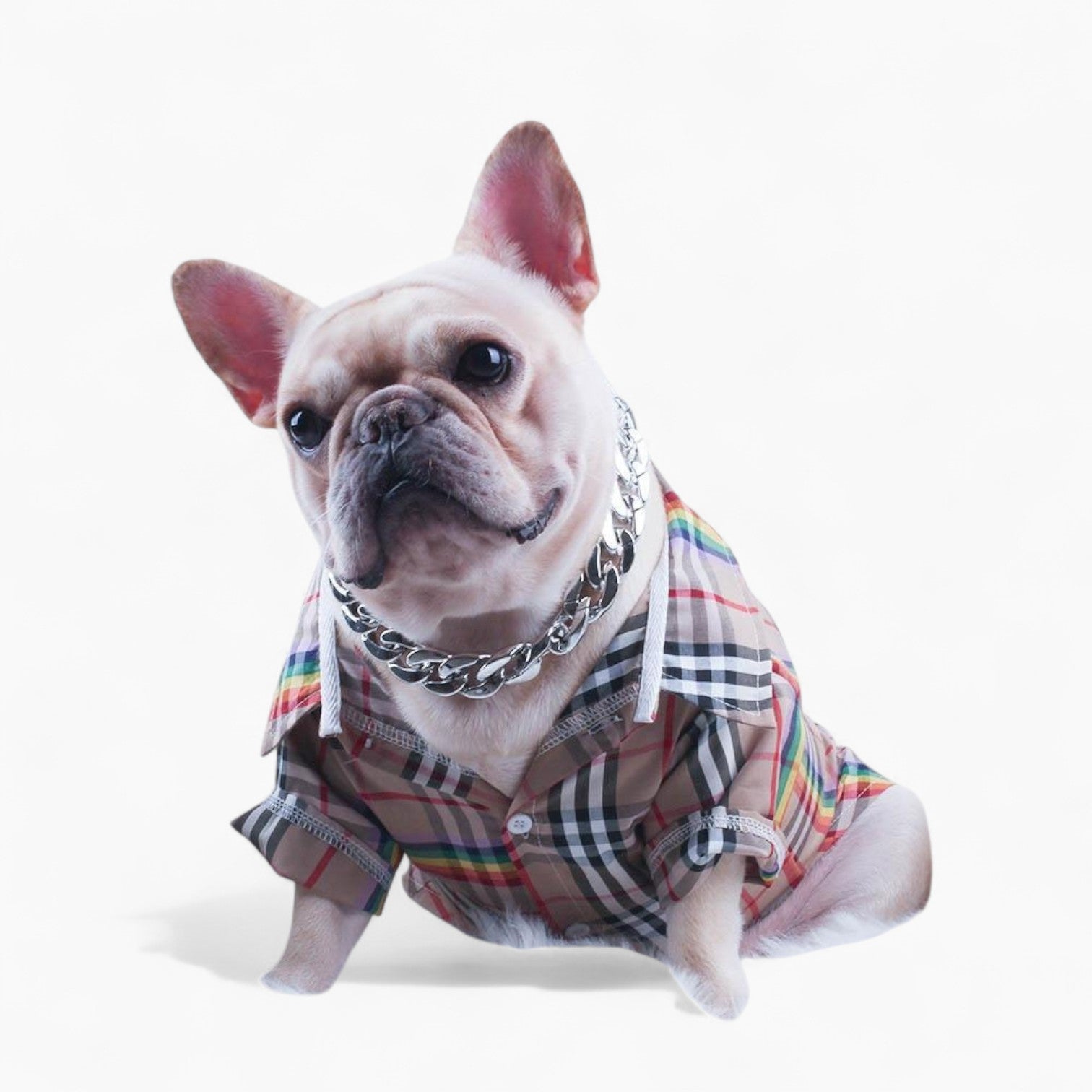 French Bulldog Stylish Dog Collar for Training Sessions-fadou