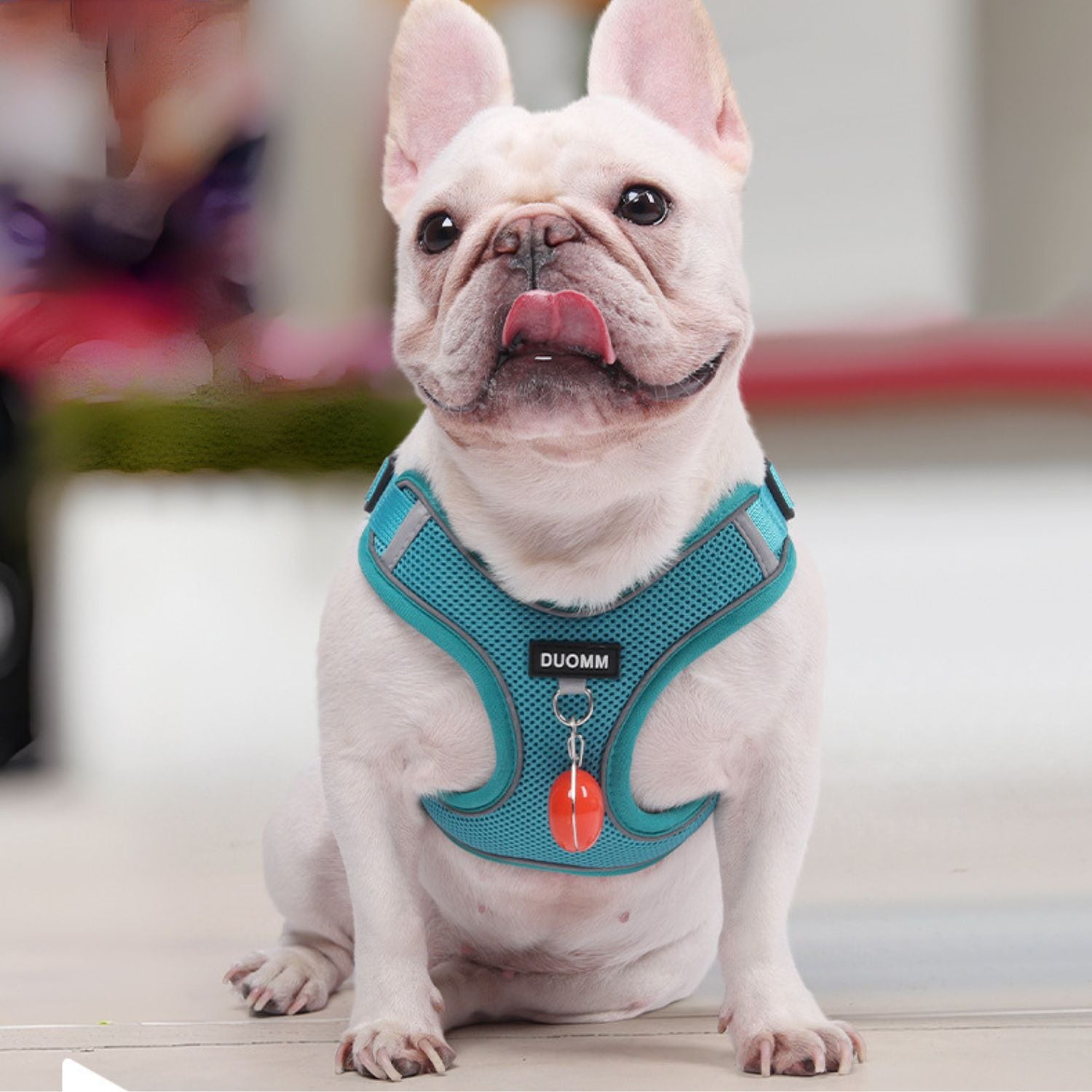 Explosion-Proof No-Pull Dog Harness for Short-Nosed Dogs-fadou
