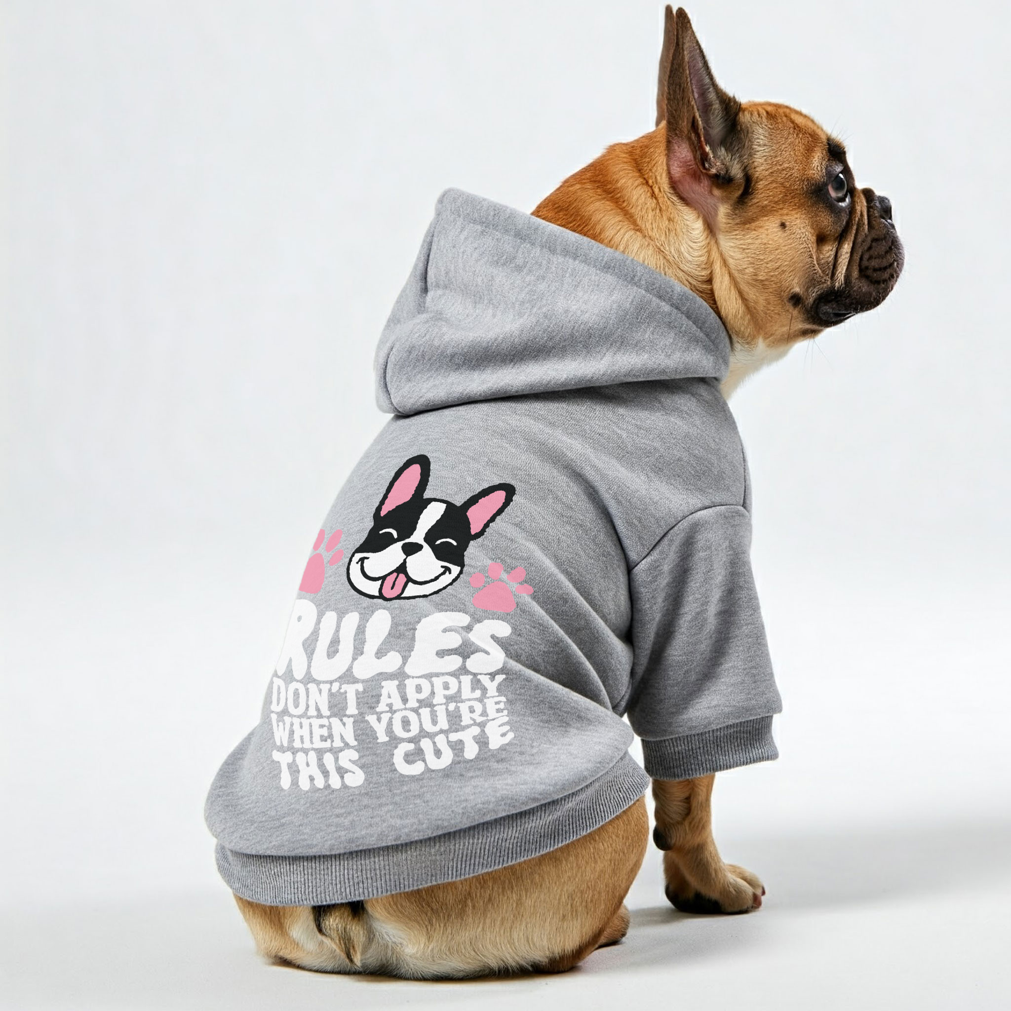Rules French Bulldog Cozy Hoodie for Outdoor Adventures-fadou