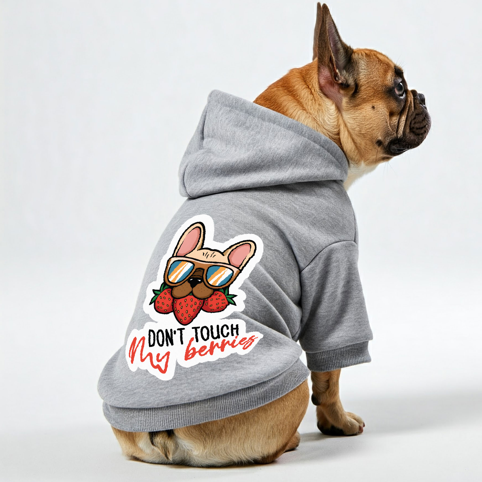 Frenchie Personalized Cozy Hoodie for Training Sessions-fadou