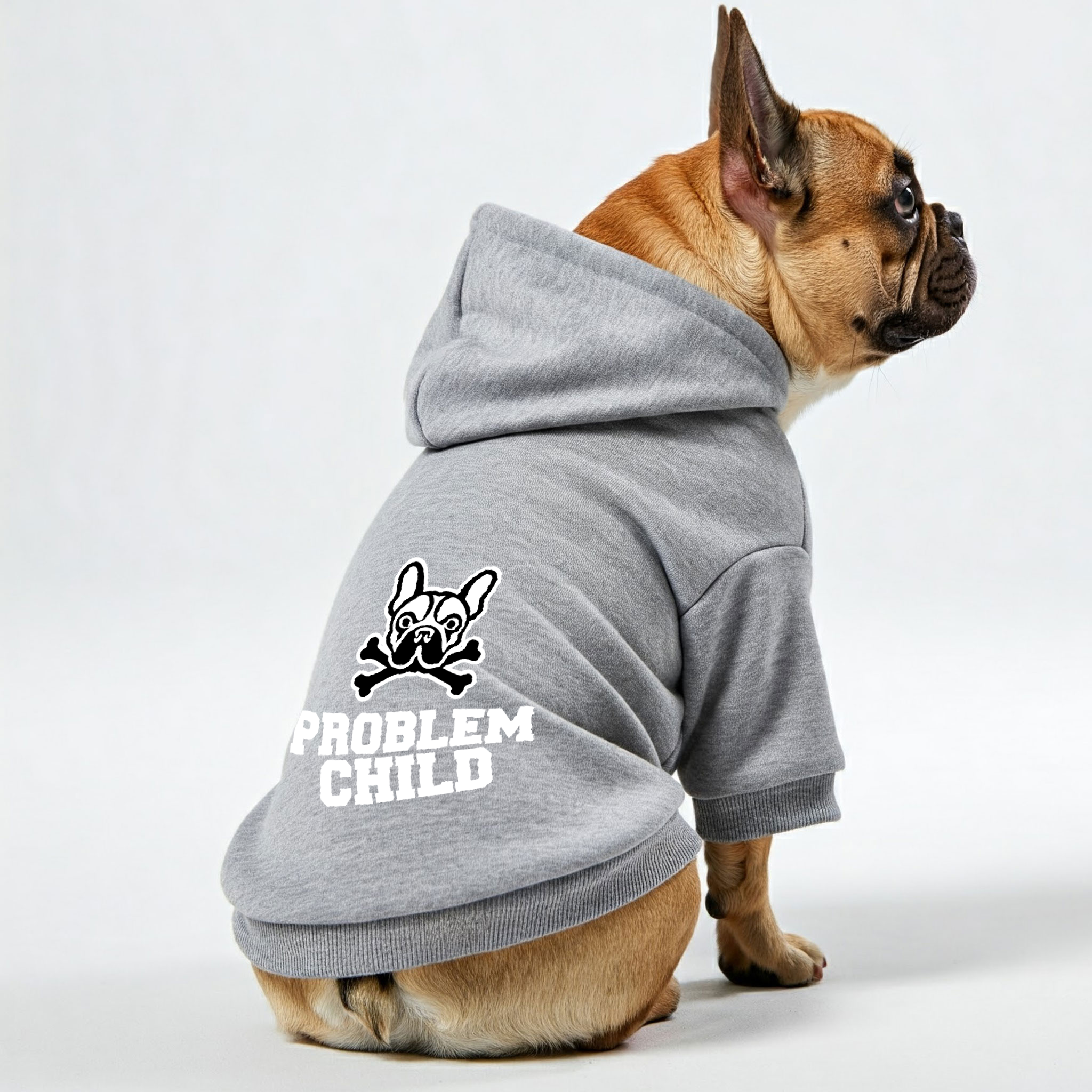 Problem French Bulldog Dog Hoodie for Training Sessions-fadou