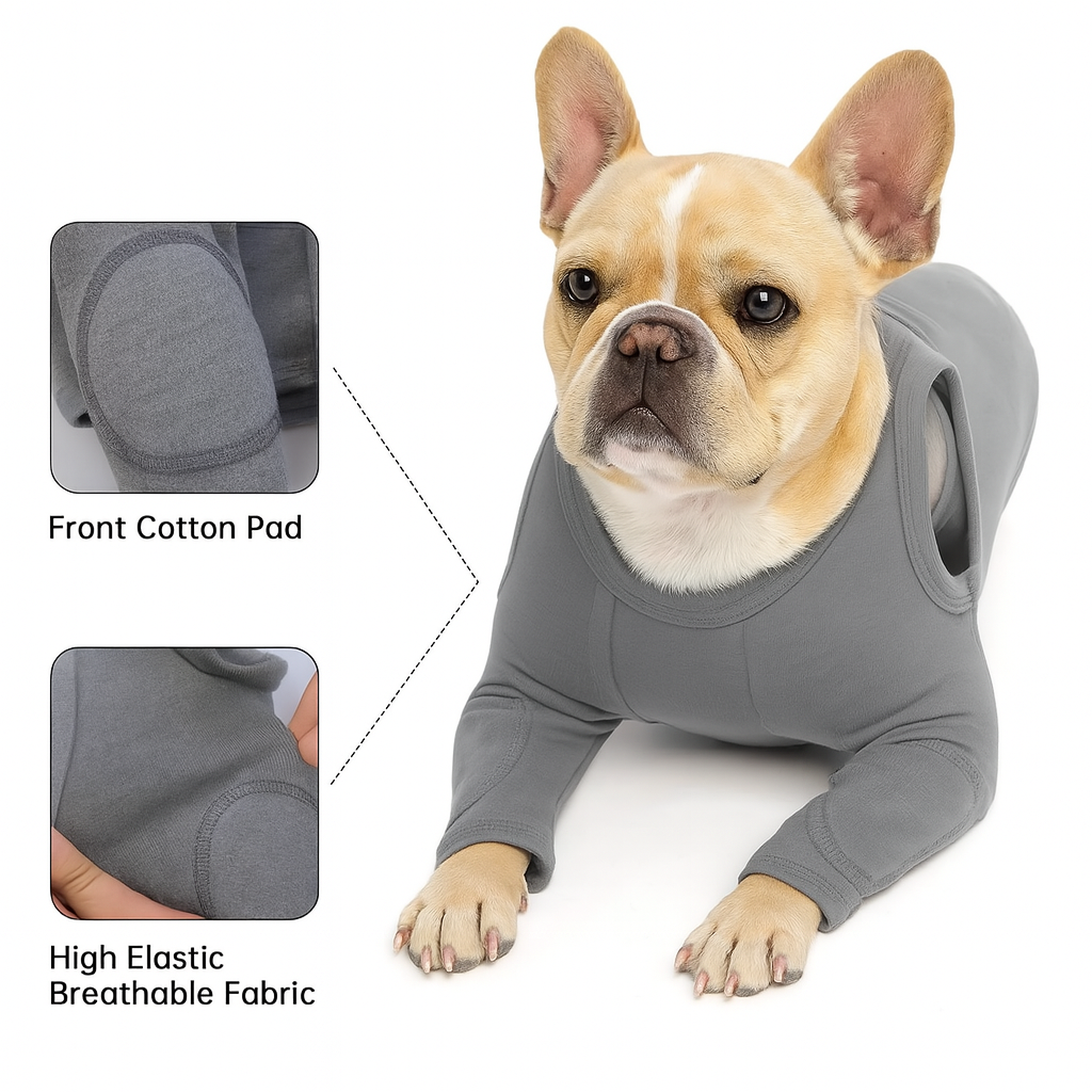 Frenchie Protective Dog Accessory for Outdoor Adventures-fadou