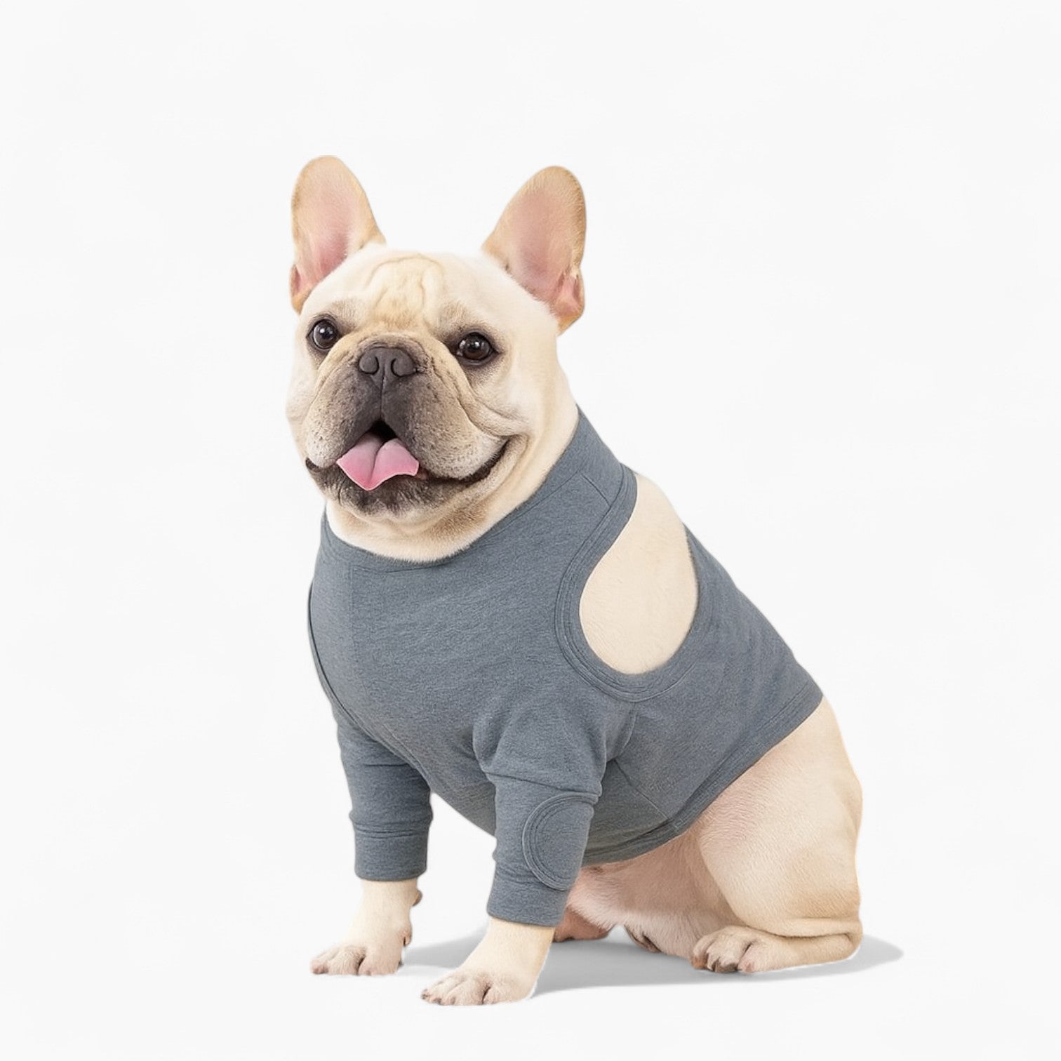 Frenchie Protective Dog Accessory for Outdoor Adventures-fadou