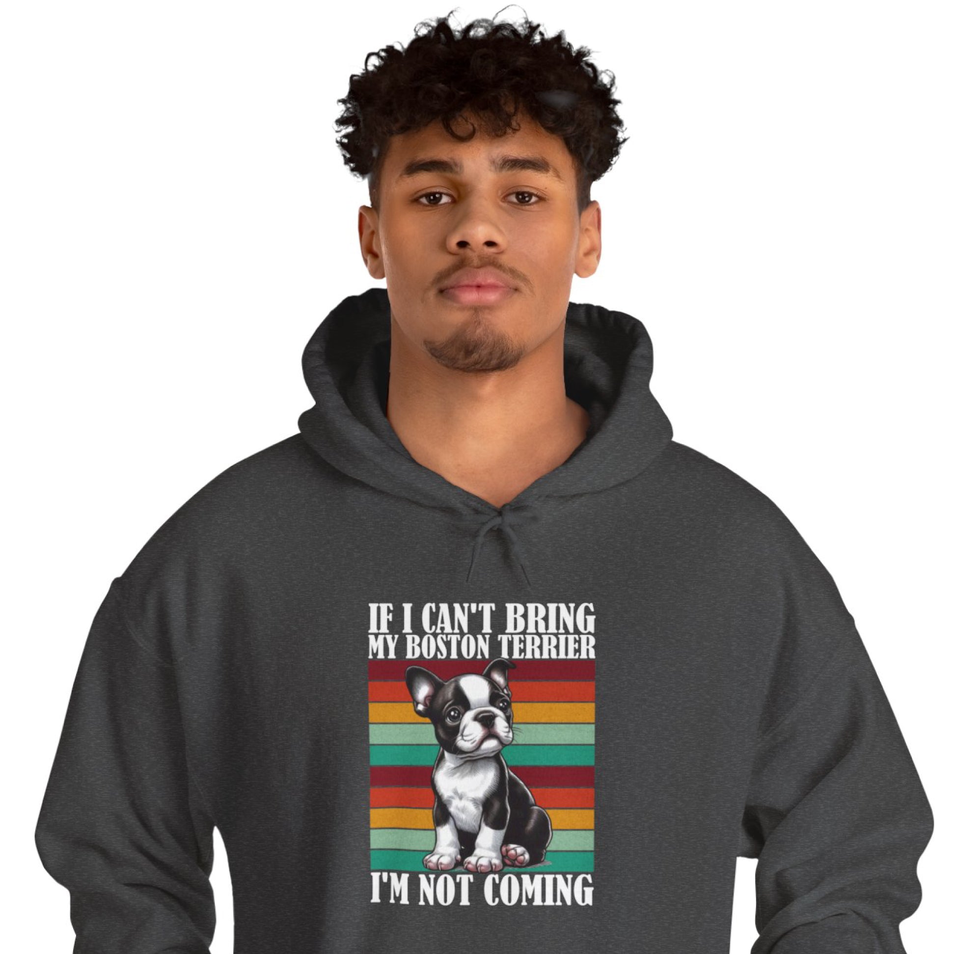 Dodo French Bulldog Pet Parent Pullover for Pet Parents-fadou