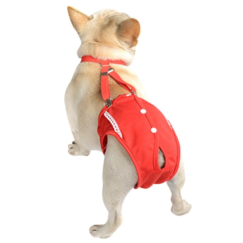 French Bulldog Premium Absorbent Underwear for Playtime Fun-fadou