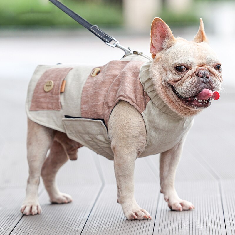 French Bulldog Premium Pet Jacket for Training Sessions-fadou