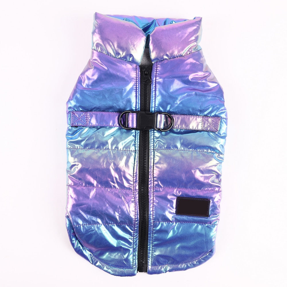 French Bulldog Reflective Product for Frenchie Enthusiasts-fadou