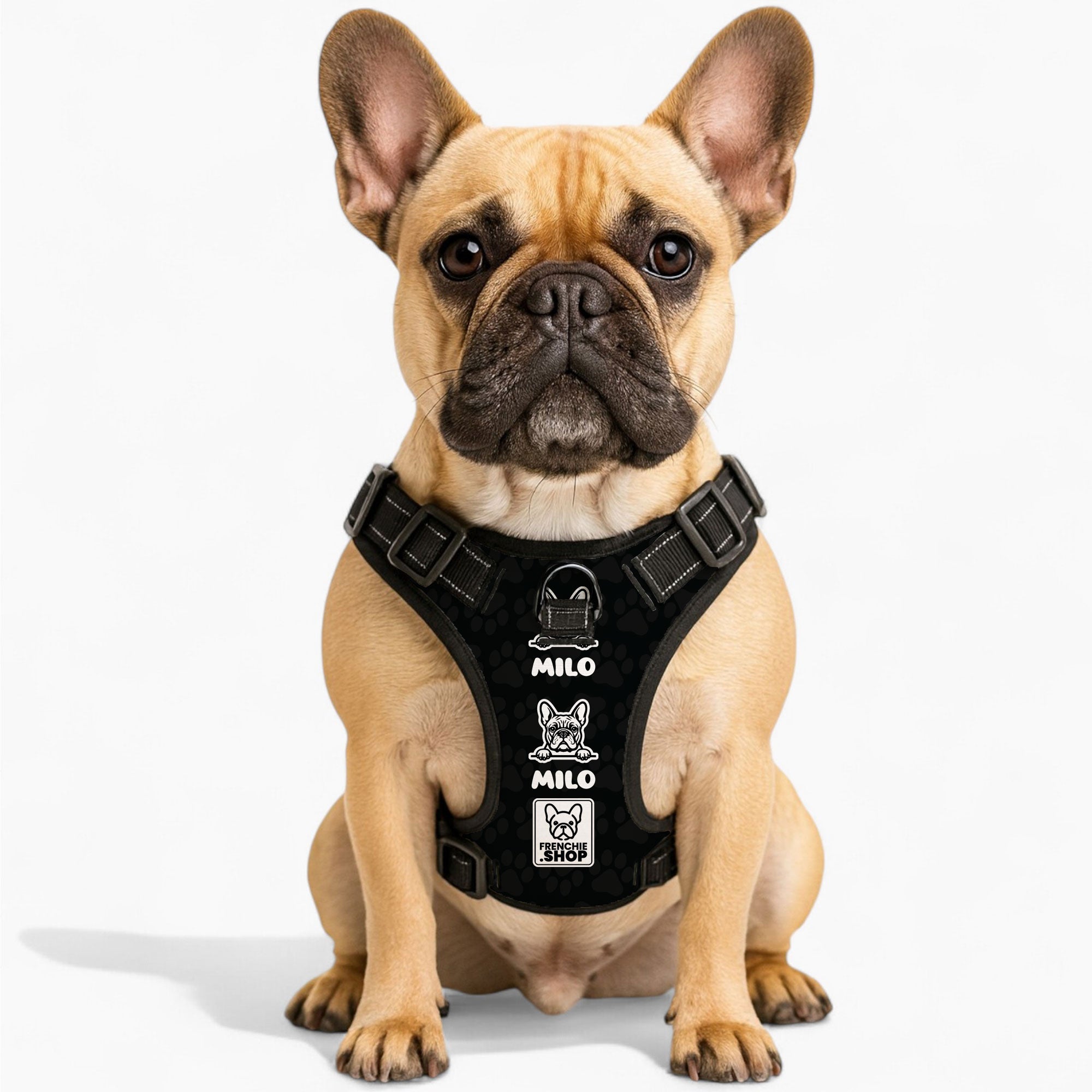 Personalized No-Pull Dog Harness for Outdoor Adventures-fadou