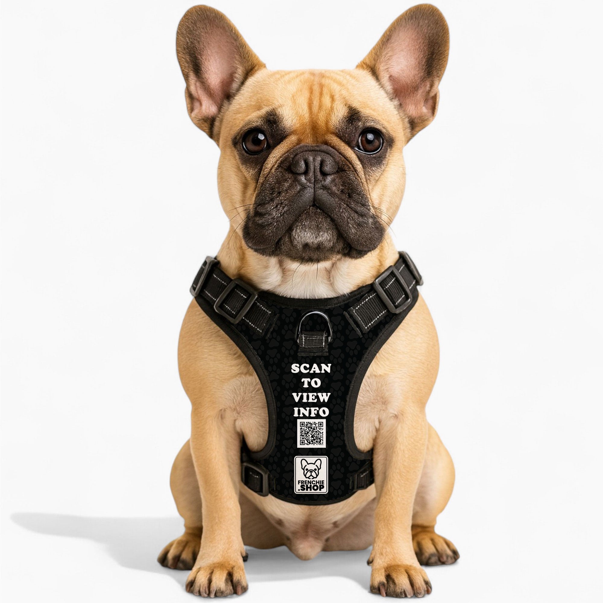Personalized No-Pull Walking Harness for Brachycephalic Dogs-fadou