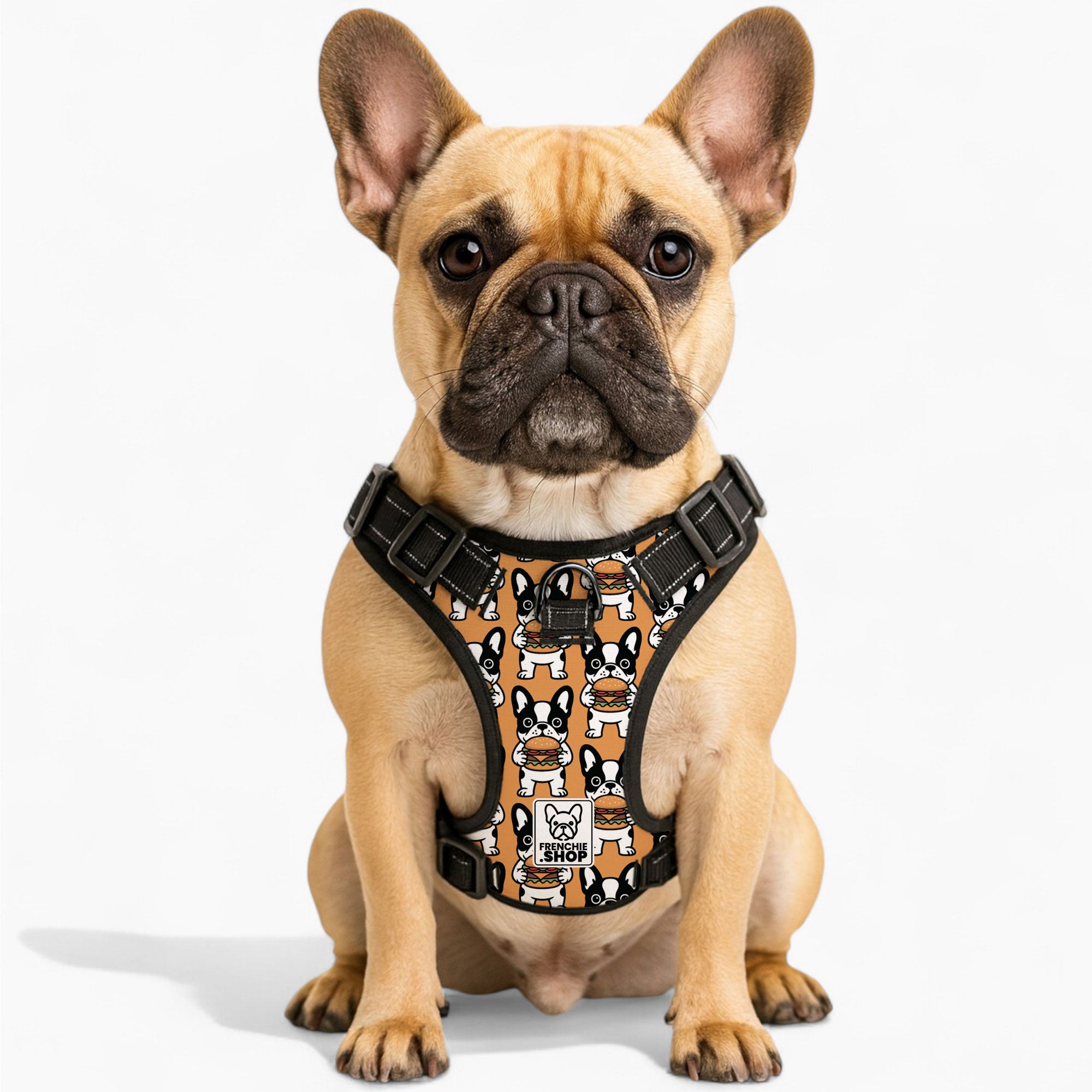 French Bulldog No-Pull Chest Harness for Outdoor Adventures-fadou