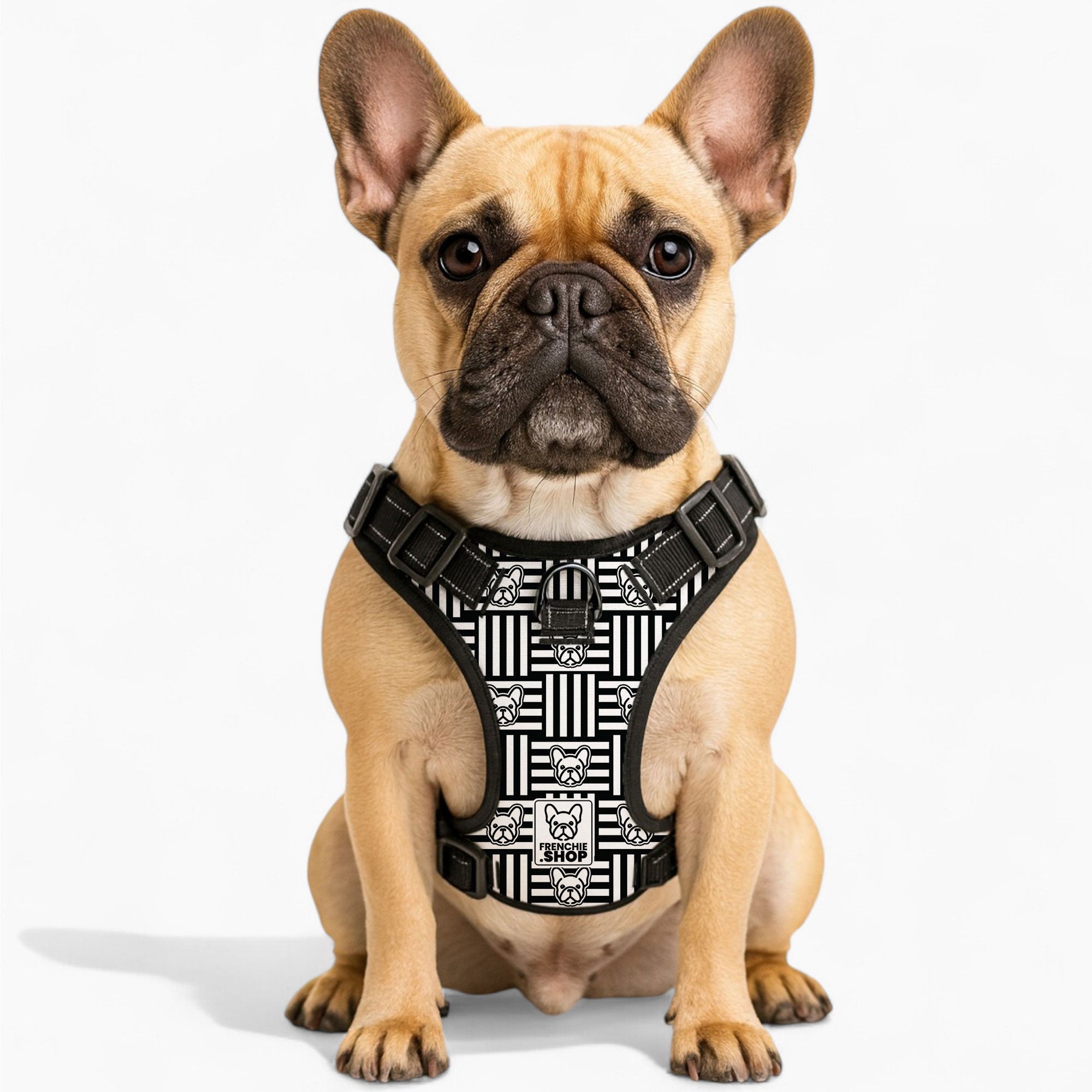 Minnie French Bulldog Chest Harness for Short-Nosed Dogs-fadou