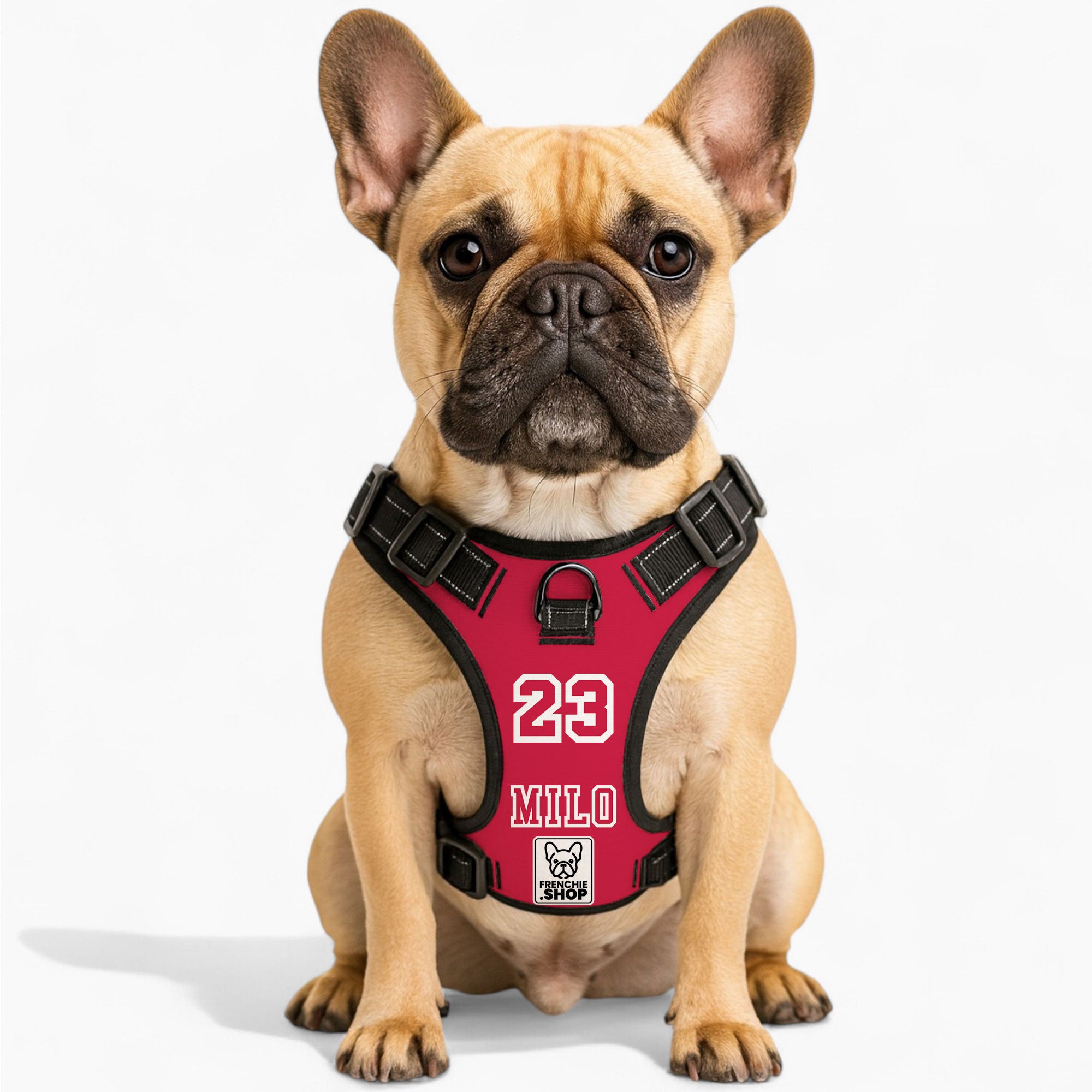 Personalized No-Pull Walking Harness for French Bulldogs-fadou