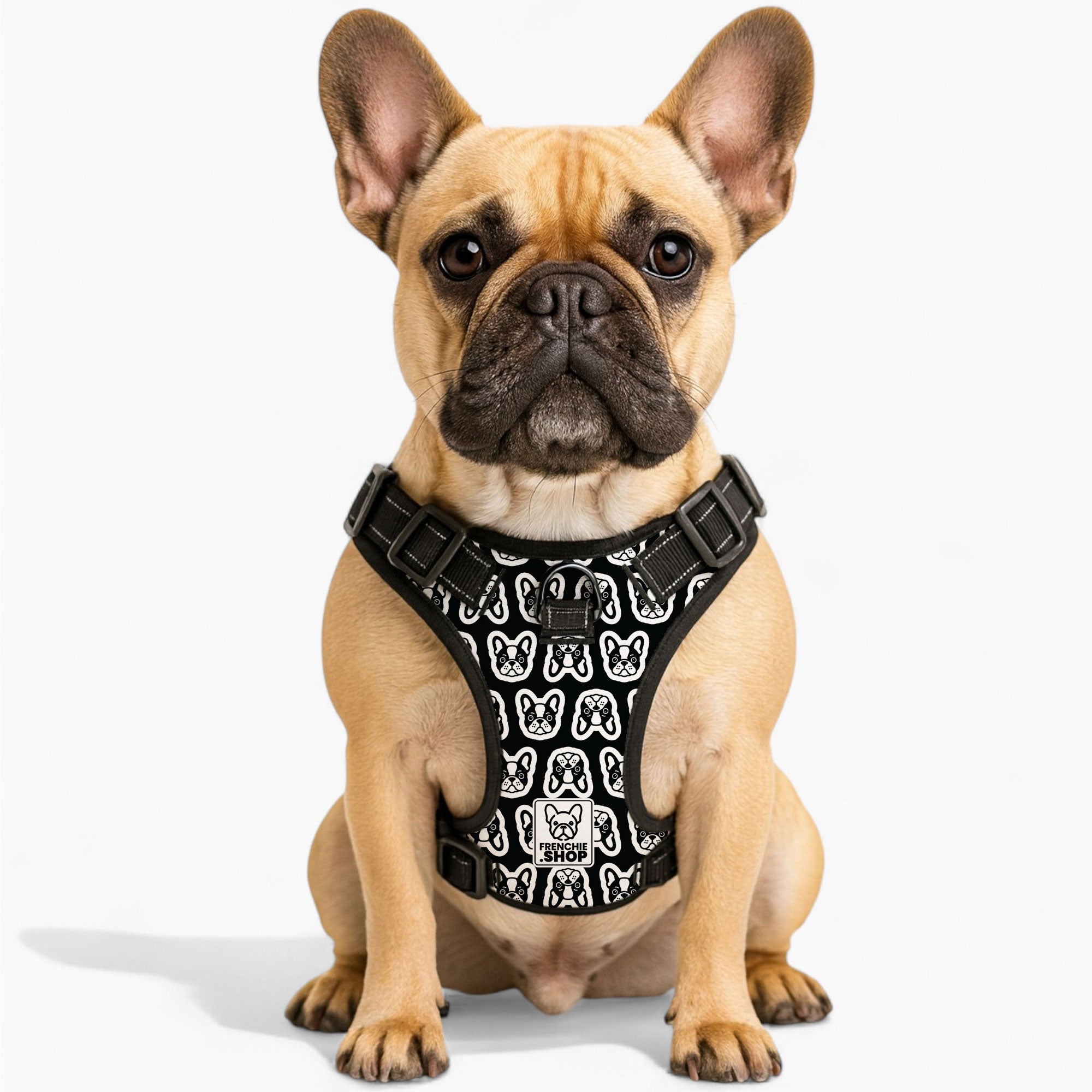 Frenchie No-Pull Walking Harness for Brachycephalic Dogs-fadou