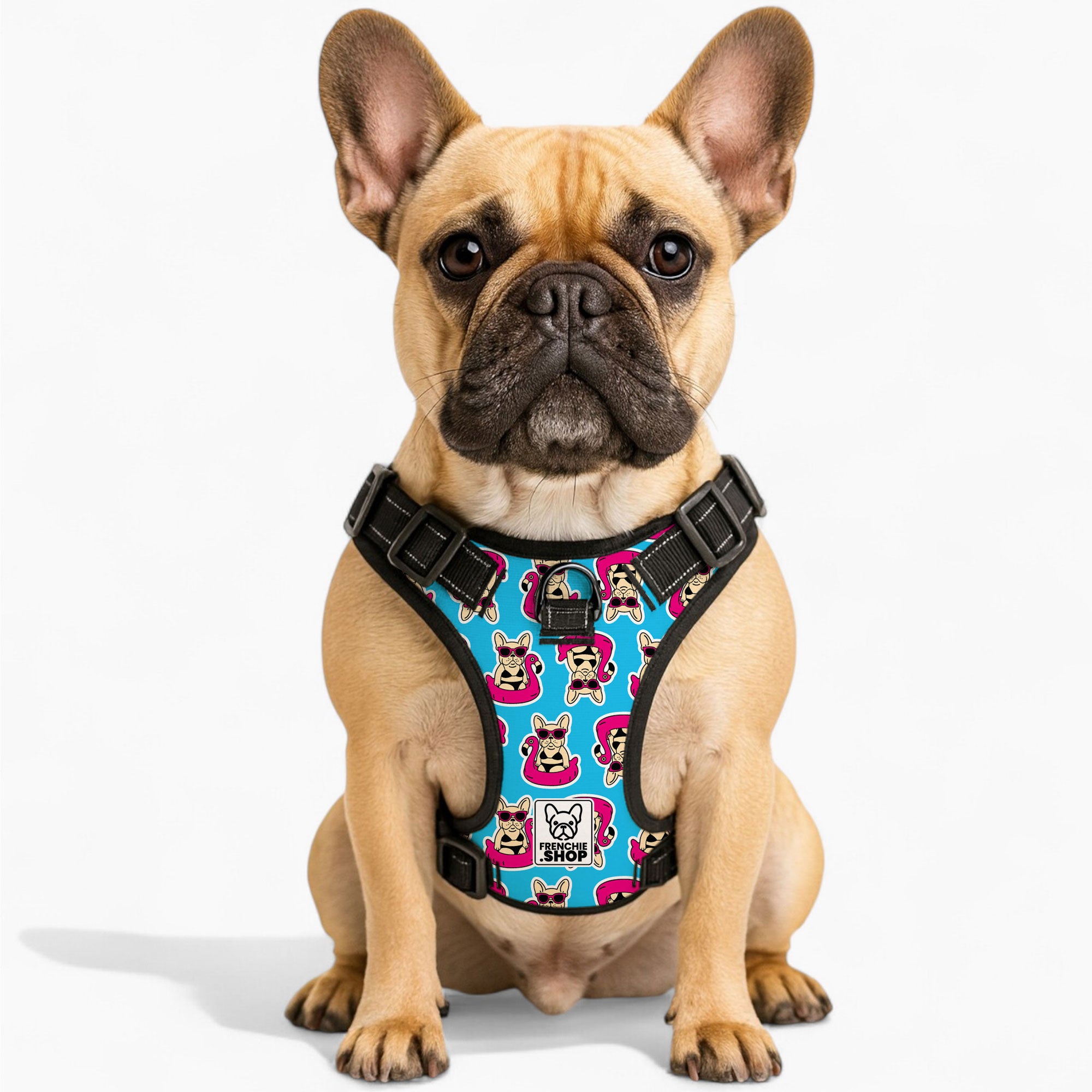 Papillon No-Pull Walking Harness for Outdoor Adventures-fadou