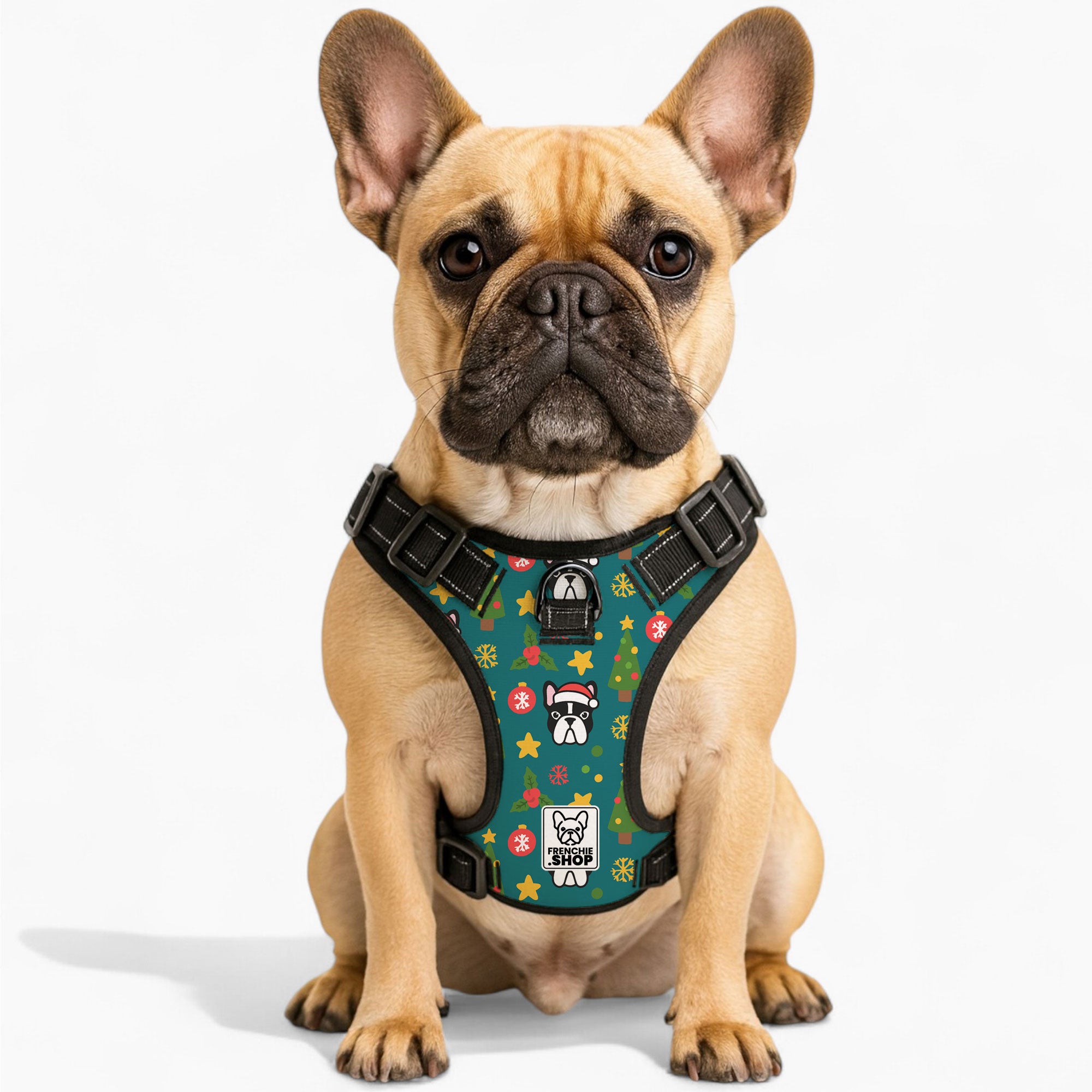 French Bulldog No-Pull Chest Harness for Training Sessions-fadou
