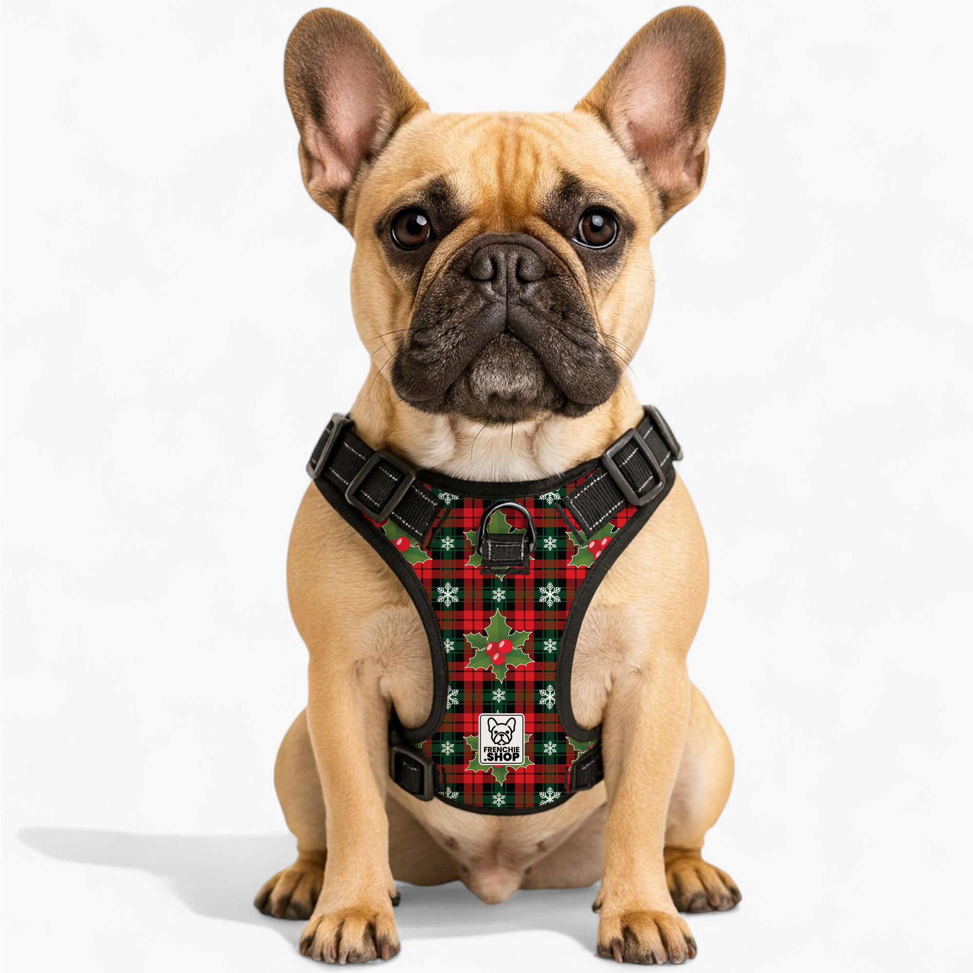 French Bulldog No-Pull No-Pull Vest for Training Sessions-fadou