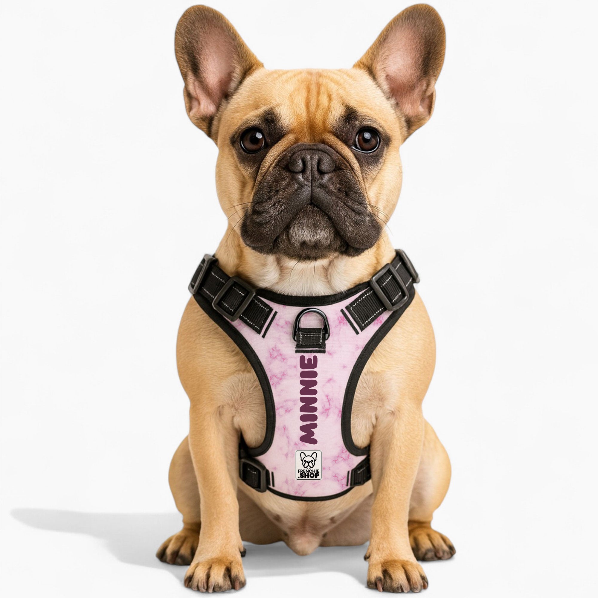 Personalized No-Pull Walking Harness for Short-Nosed Dogs-fadou