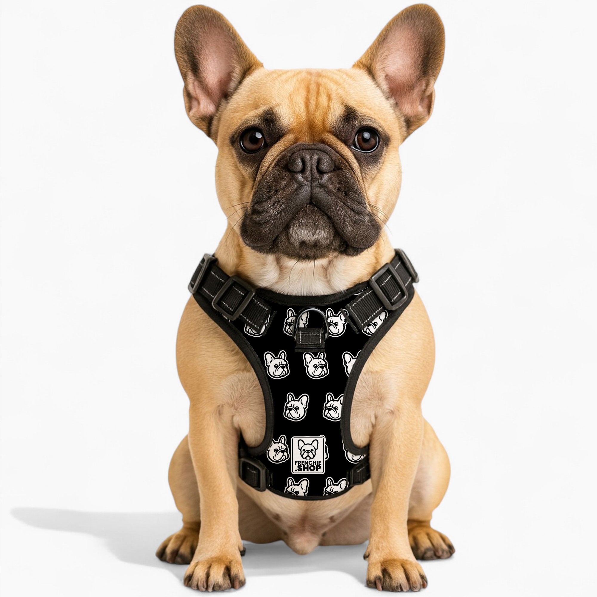 Madison French Bulldog Dog Harness for Training Sessions-fadou