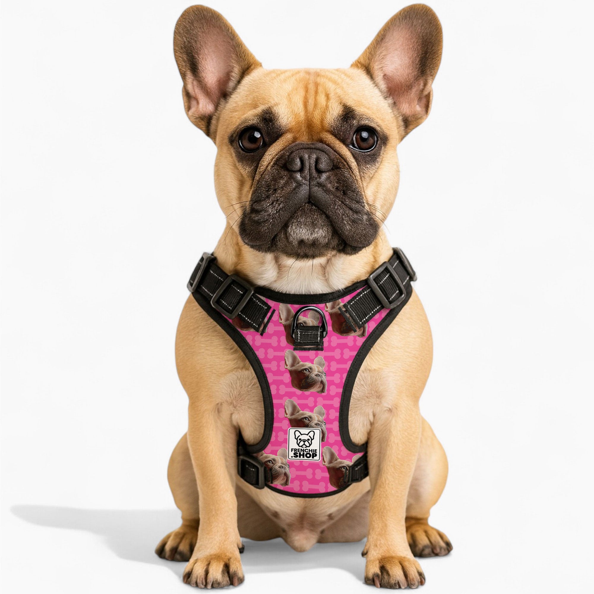 Personalized No-Pull Walking Harness for Flat-Face Breeds-fadou