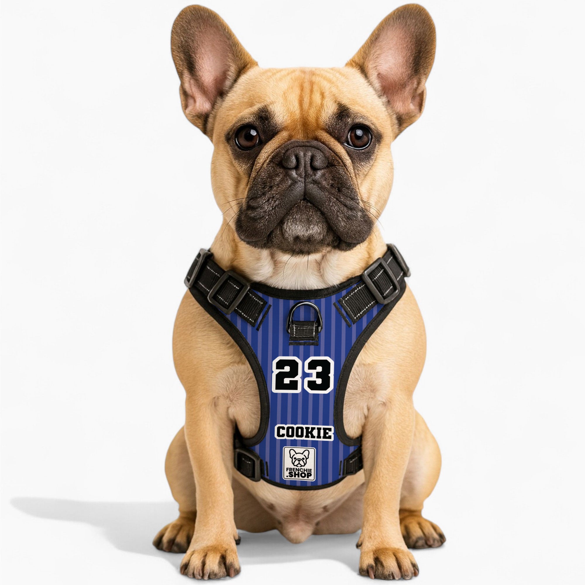 Personalized No-Pull No-Pull Vest for Brachycephalic Dogs-fadou