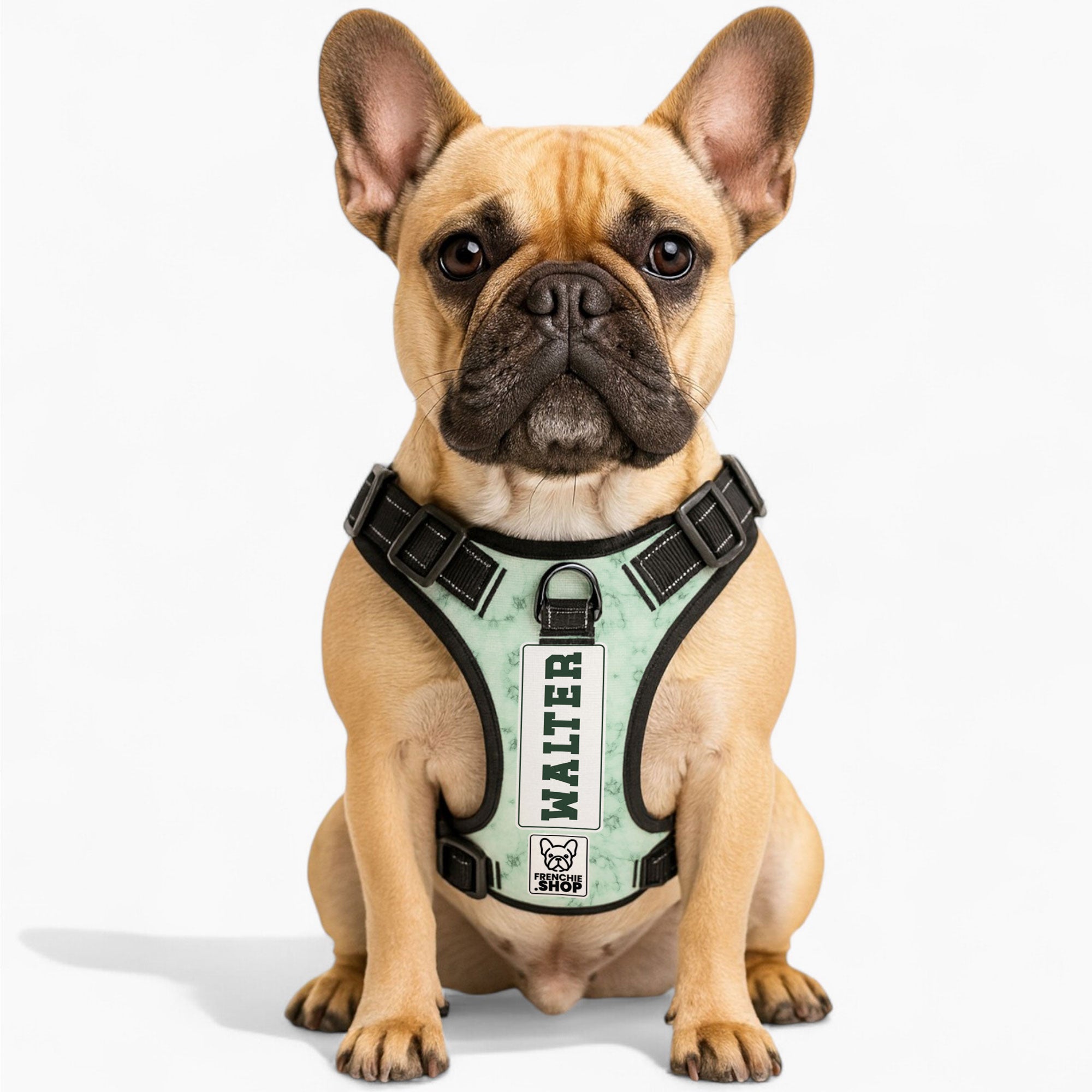 Personalized No-Pull No-Pull Vest for Outdoor Adventures-fadou