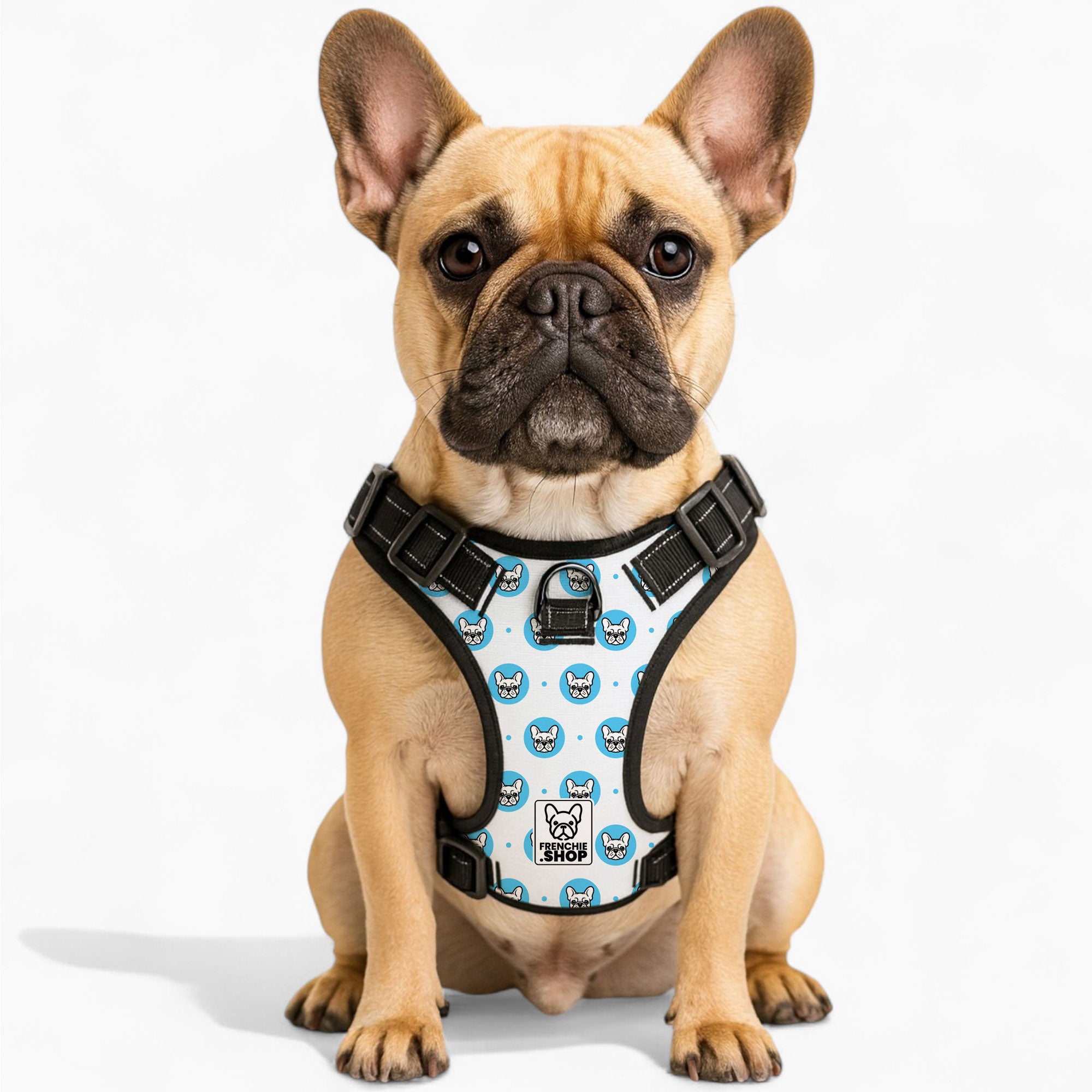 French Bulldog No-Pull Dog Harness for Training Sessions-fadou
