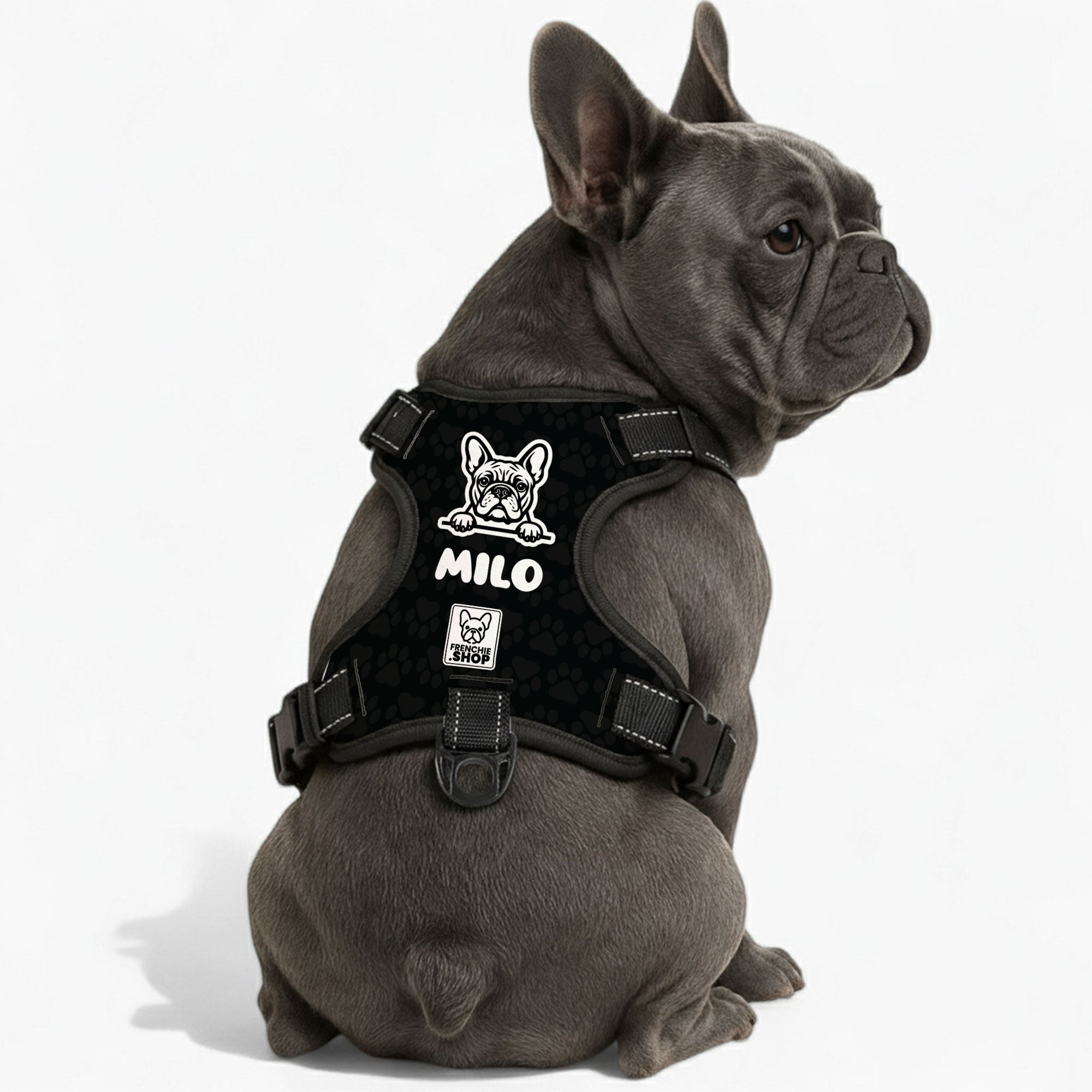 Personalized No-Pull Dog Harness for Outdoor Adventures-fadou