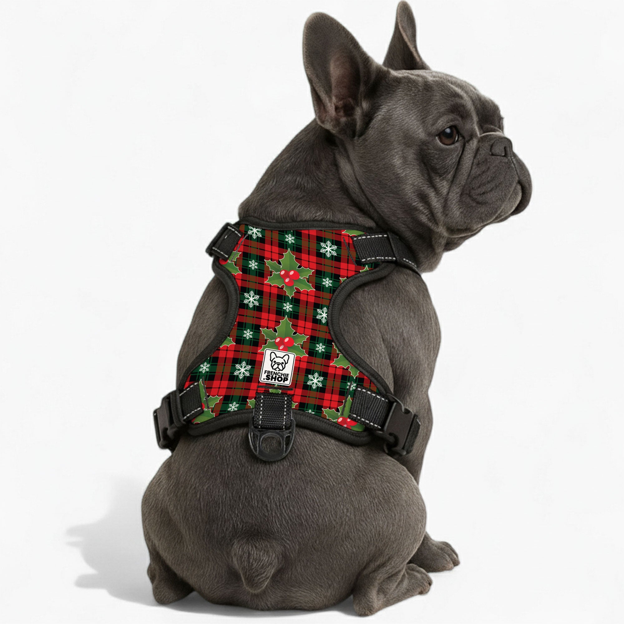 French Bulldog No-Pull No-Pull Vest for Training Sessions-fadou