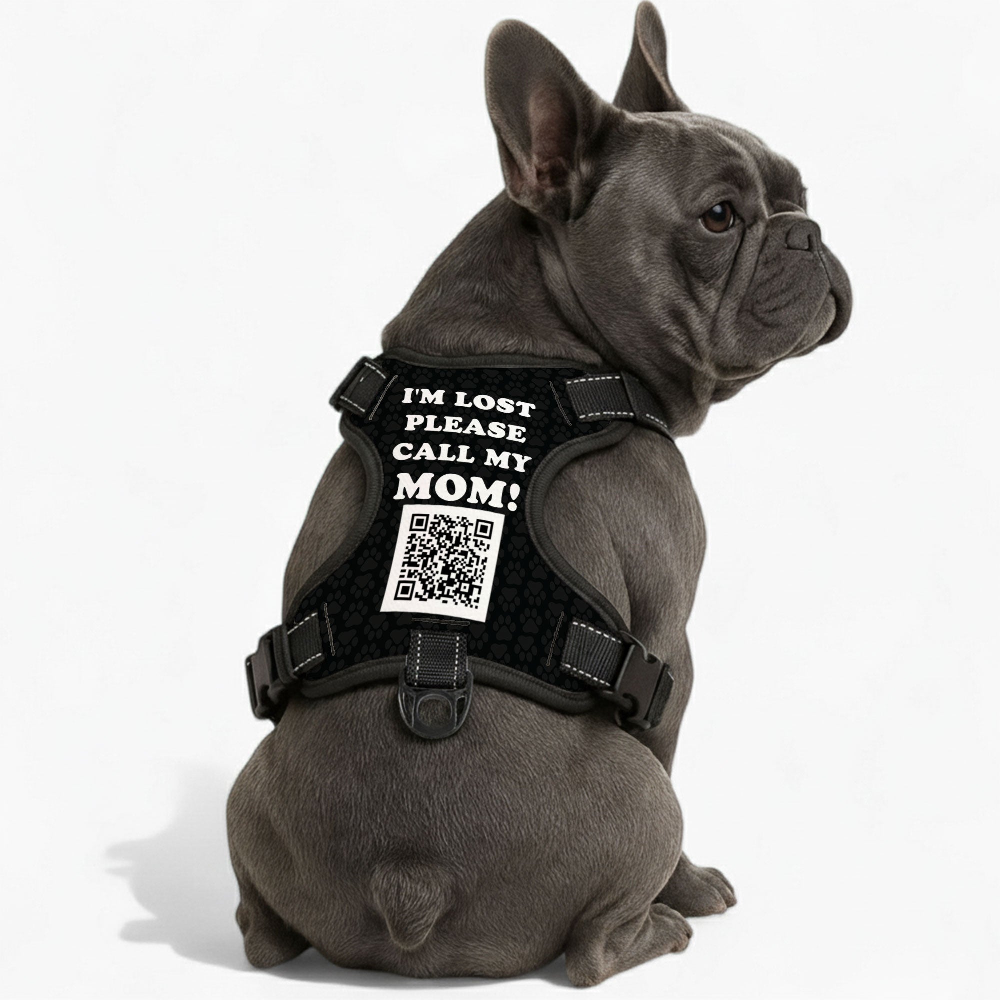 Personalized No-Pull Walking Harness for Brachycephalic Dogs-fadou