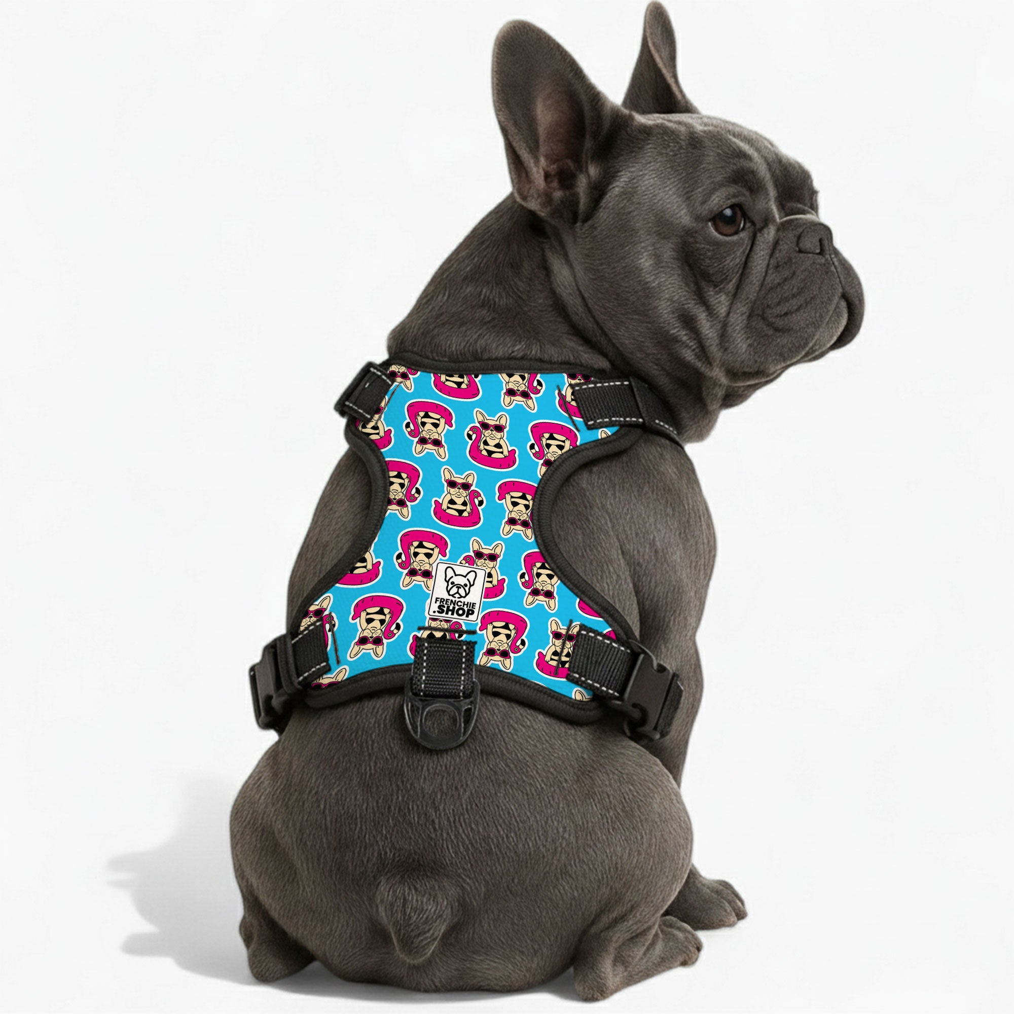 Papillon No-Pull Walking Harness for Outdoor Adventures-fadou