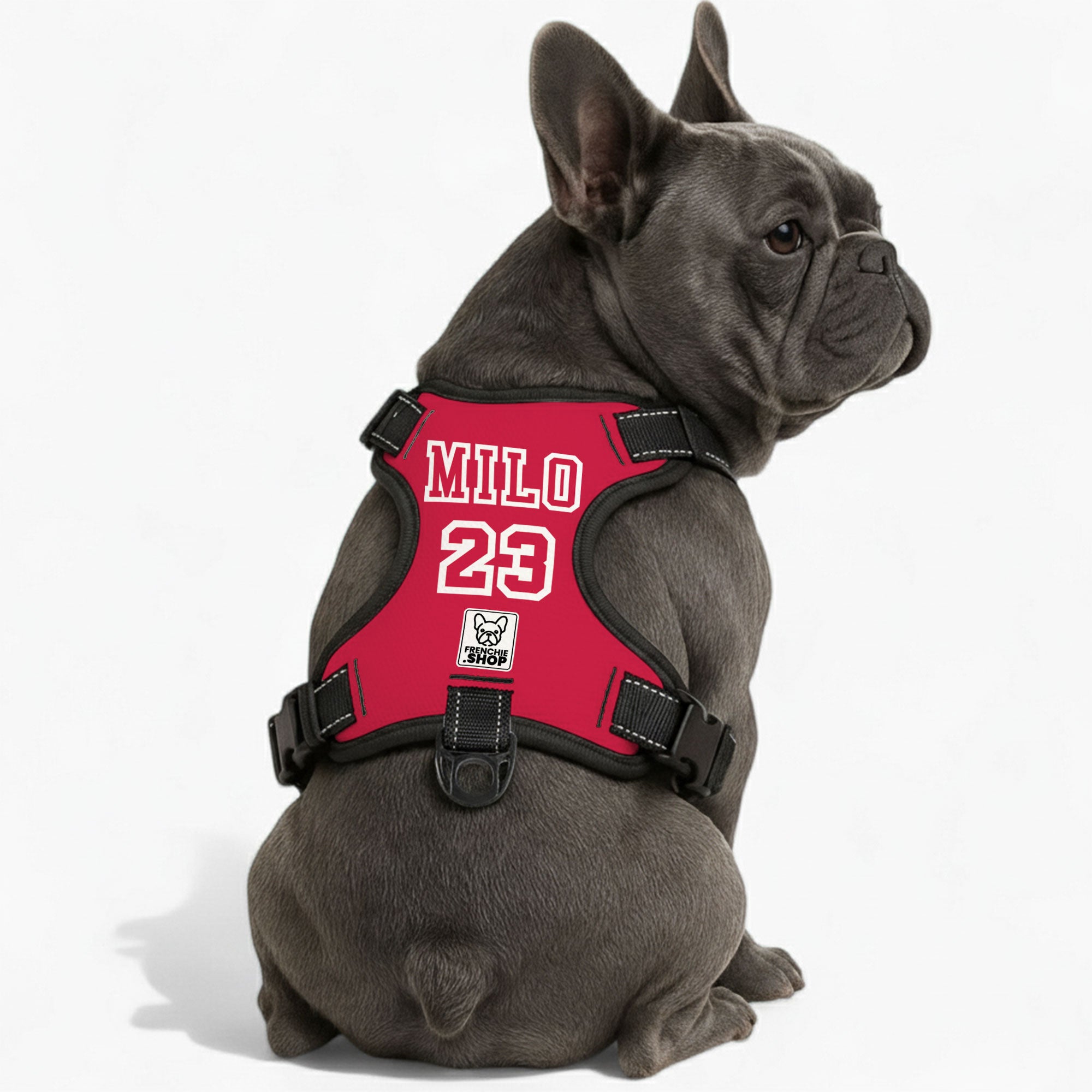 Personalized No-Pull Walking Harness for French Bulldogs-fadou