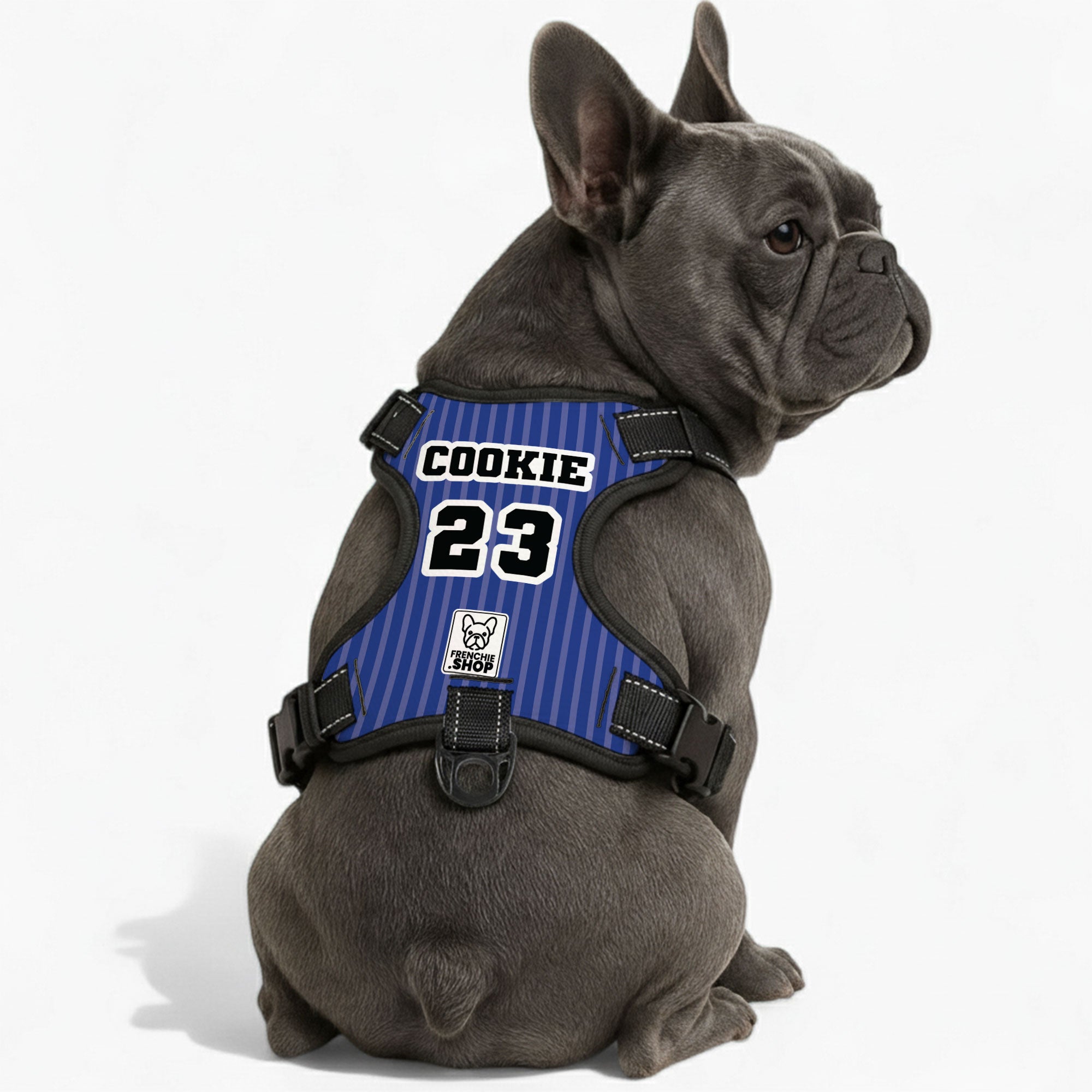 Personalized No-Pull No-Pull Vest for Brachycephalic Dogs-fadou