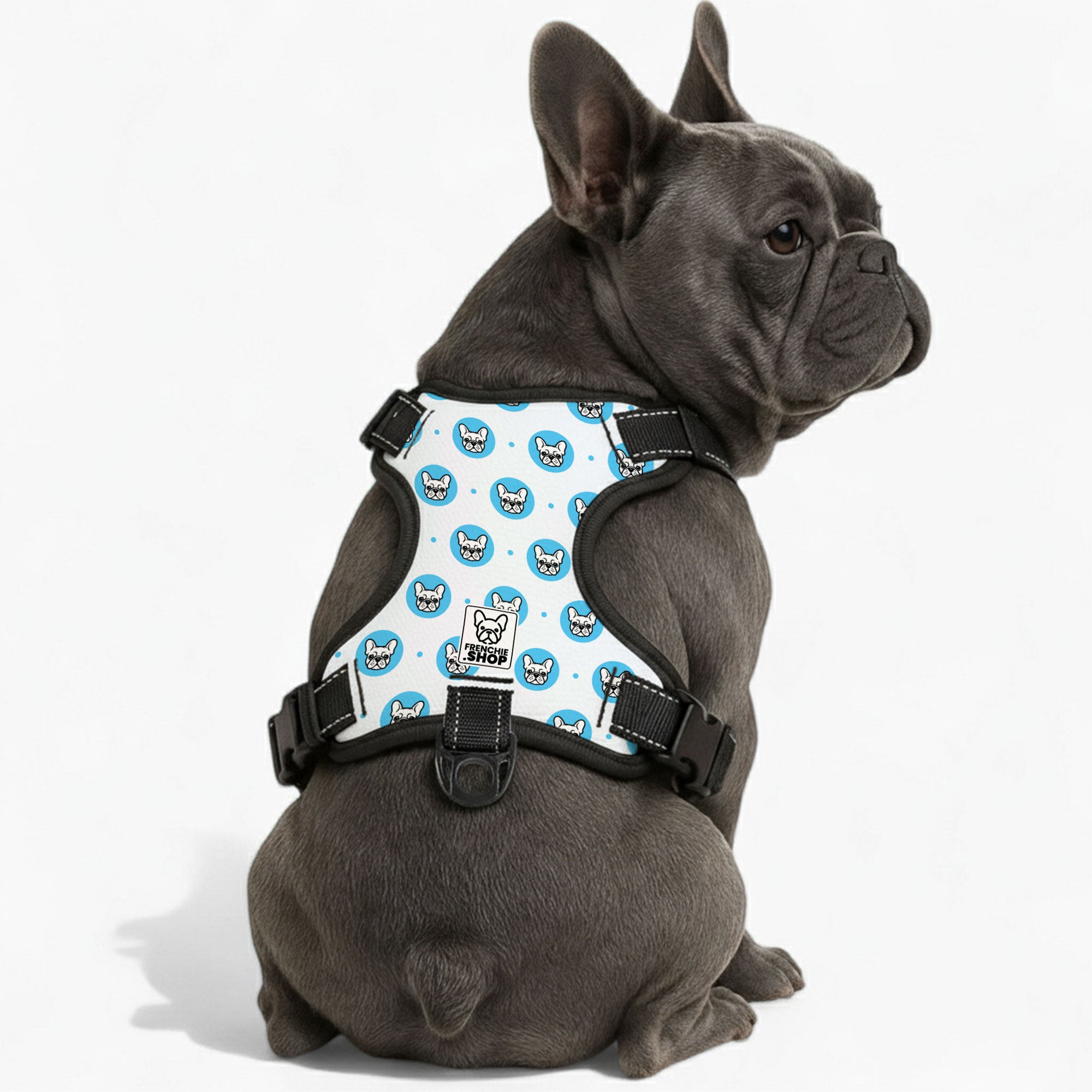French Bulldog No-Pull Dog Harness for Training Sessions-fadou