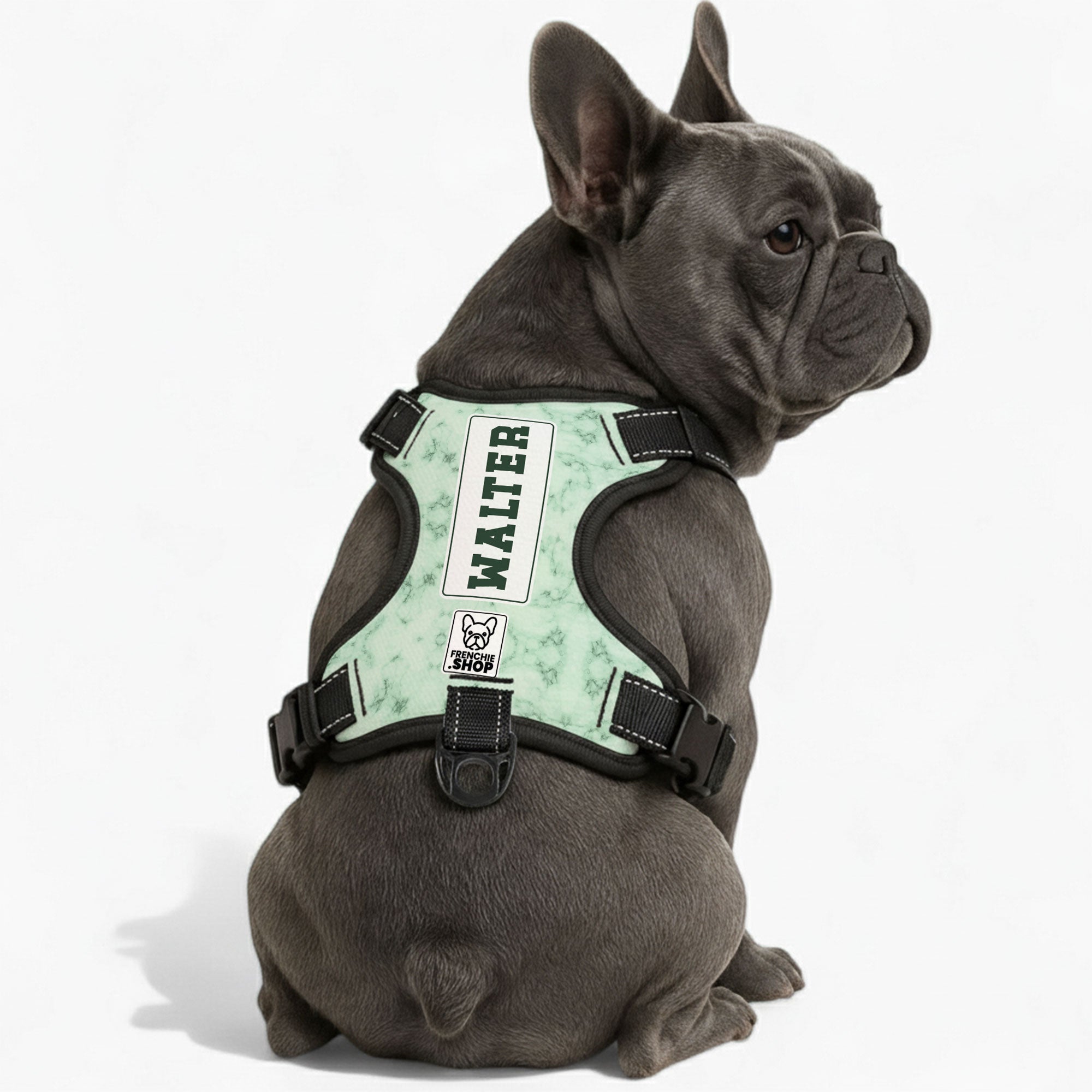 Personalized No-Pull No-Pull Vest for Outdoor Adventures-fadou