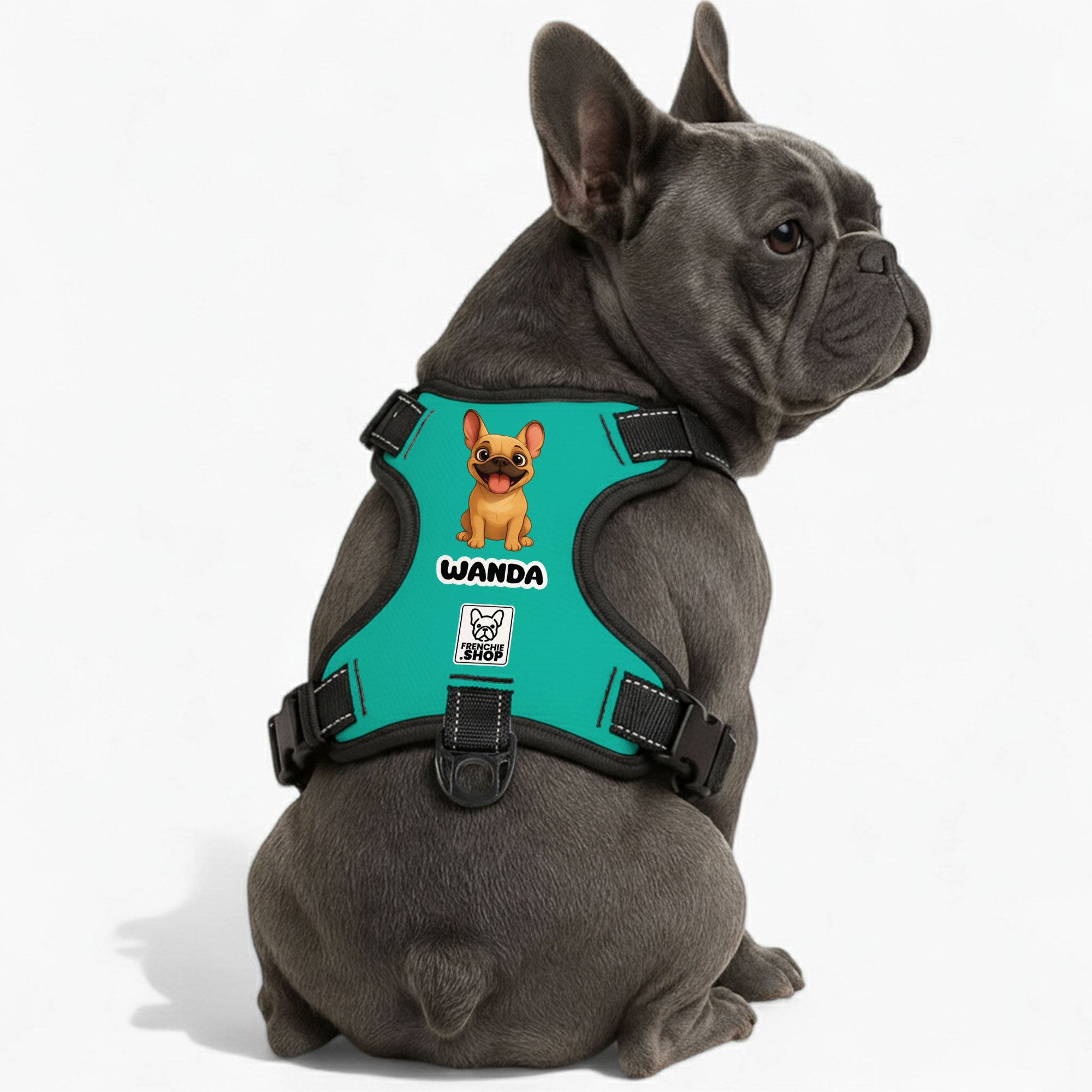 Personalized No-Pull No-Pull Vest for Training Sessions-fadou