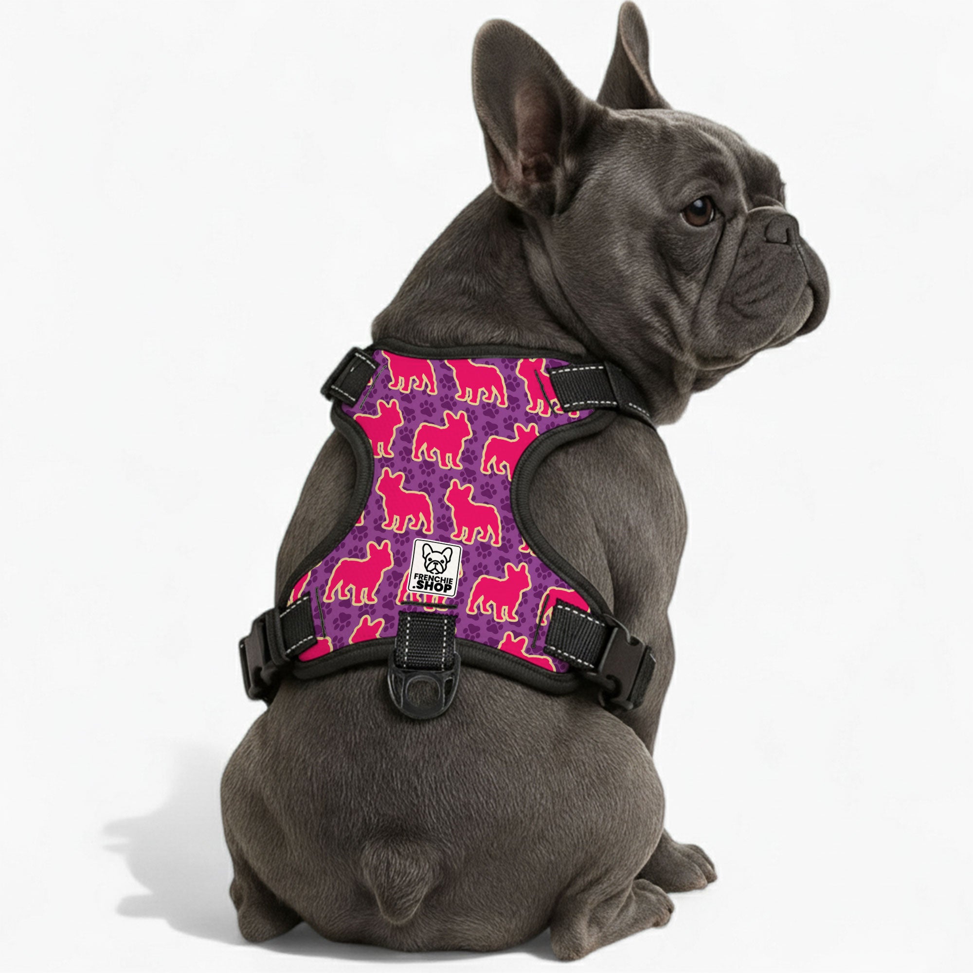 Mansel French Bulldog Chest Harness for Training Sessions-fadou