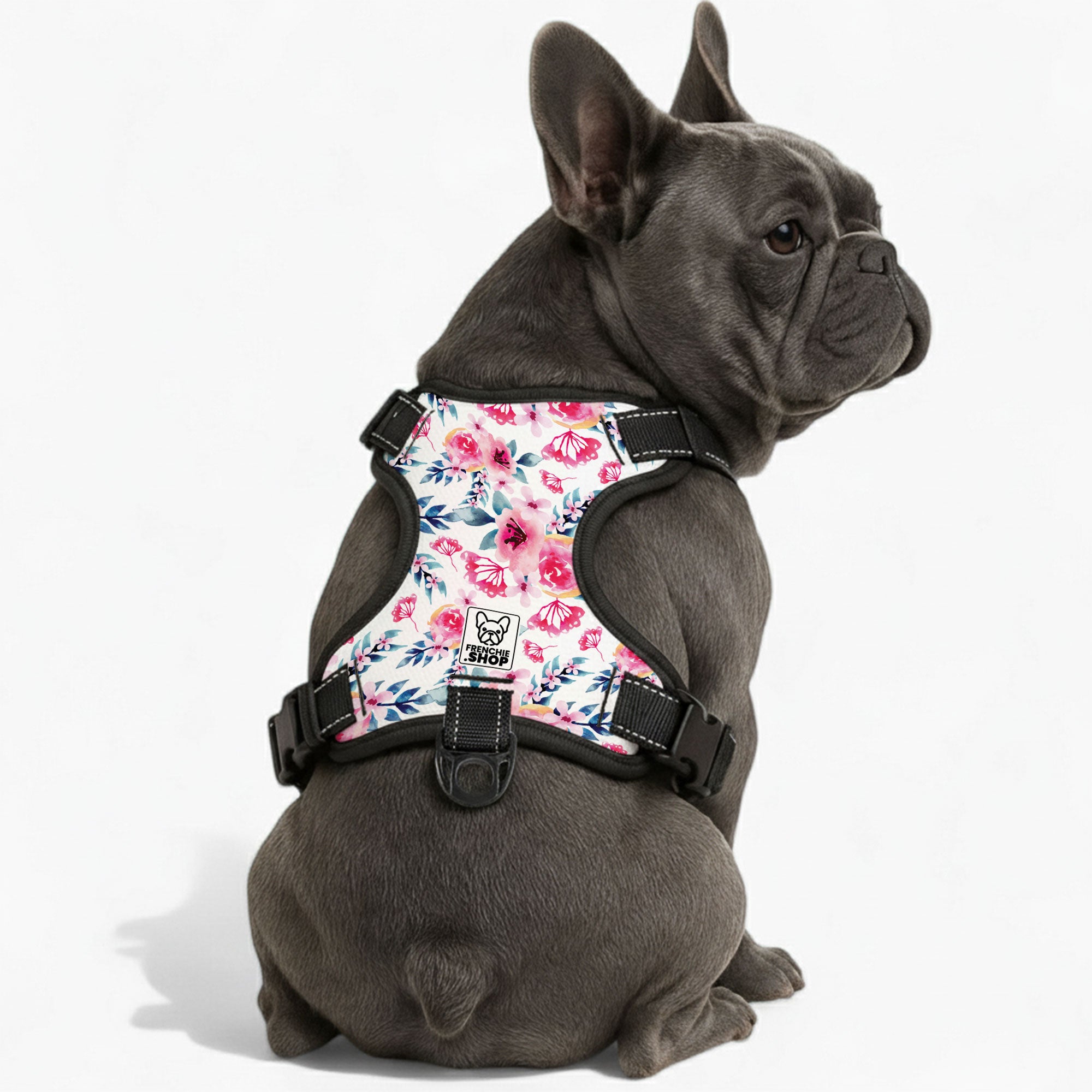 Zinnia French Bulldog Chest Harness for Flat-Face Breeds-fadou